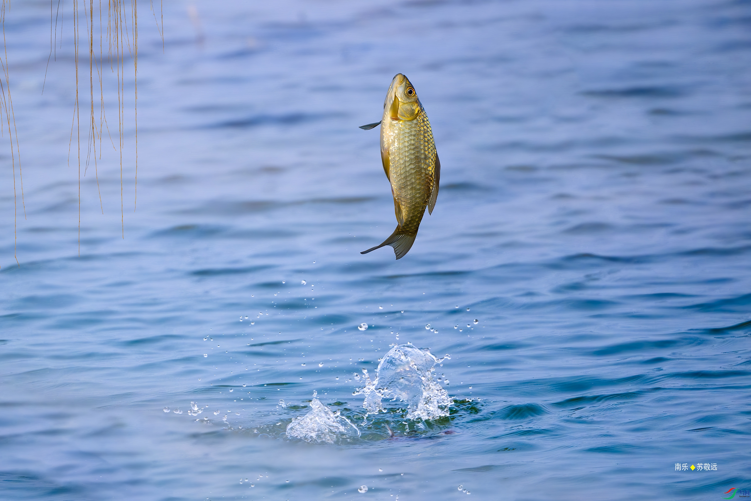 _DSC3200-DxO_С.jpg