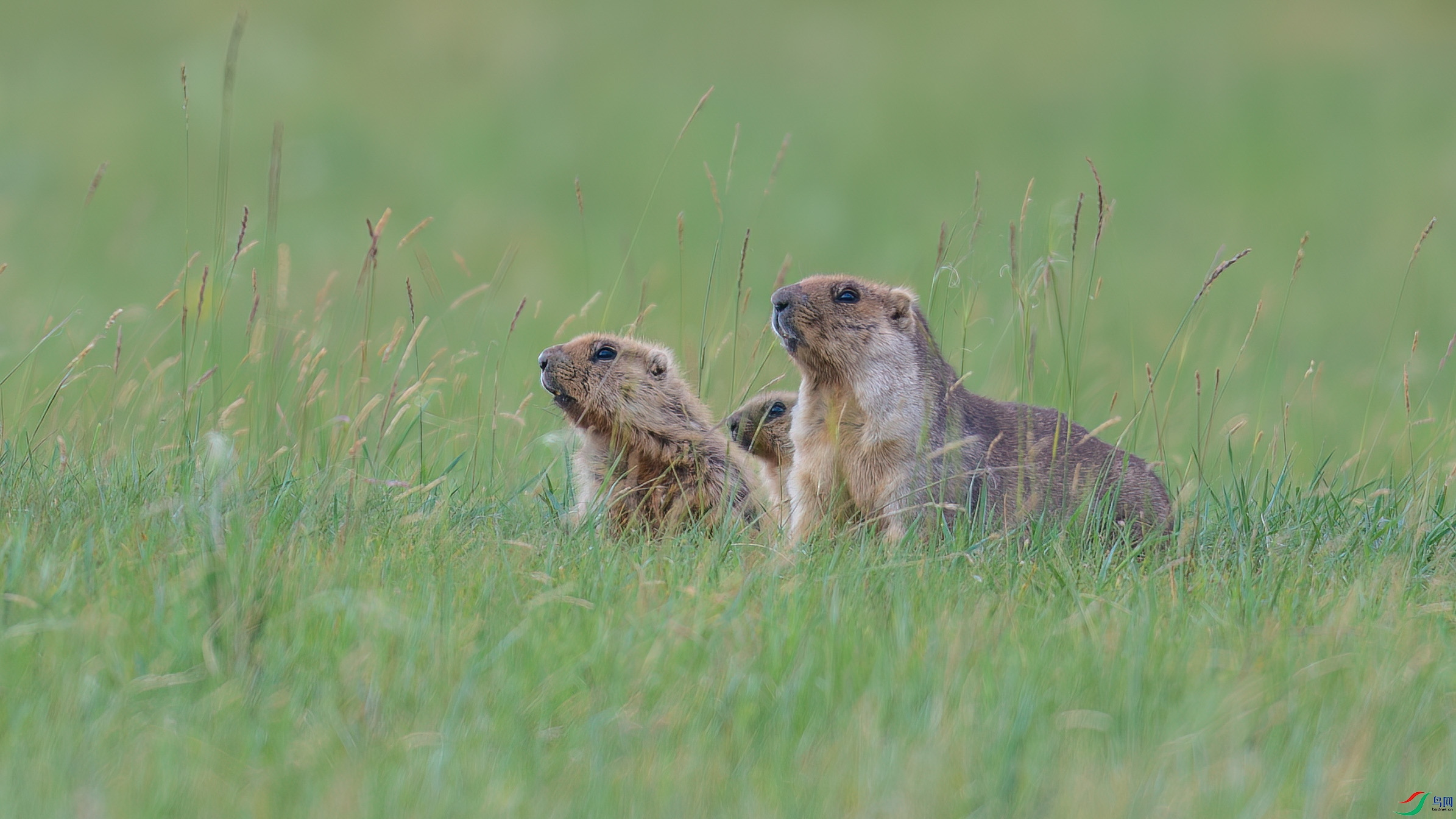 DSC_3887.jpg