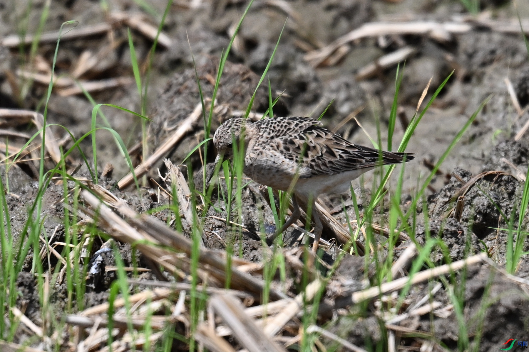 DSC_4912.JPG