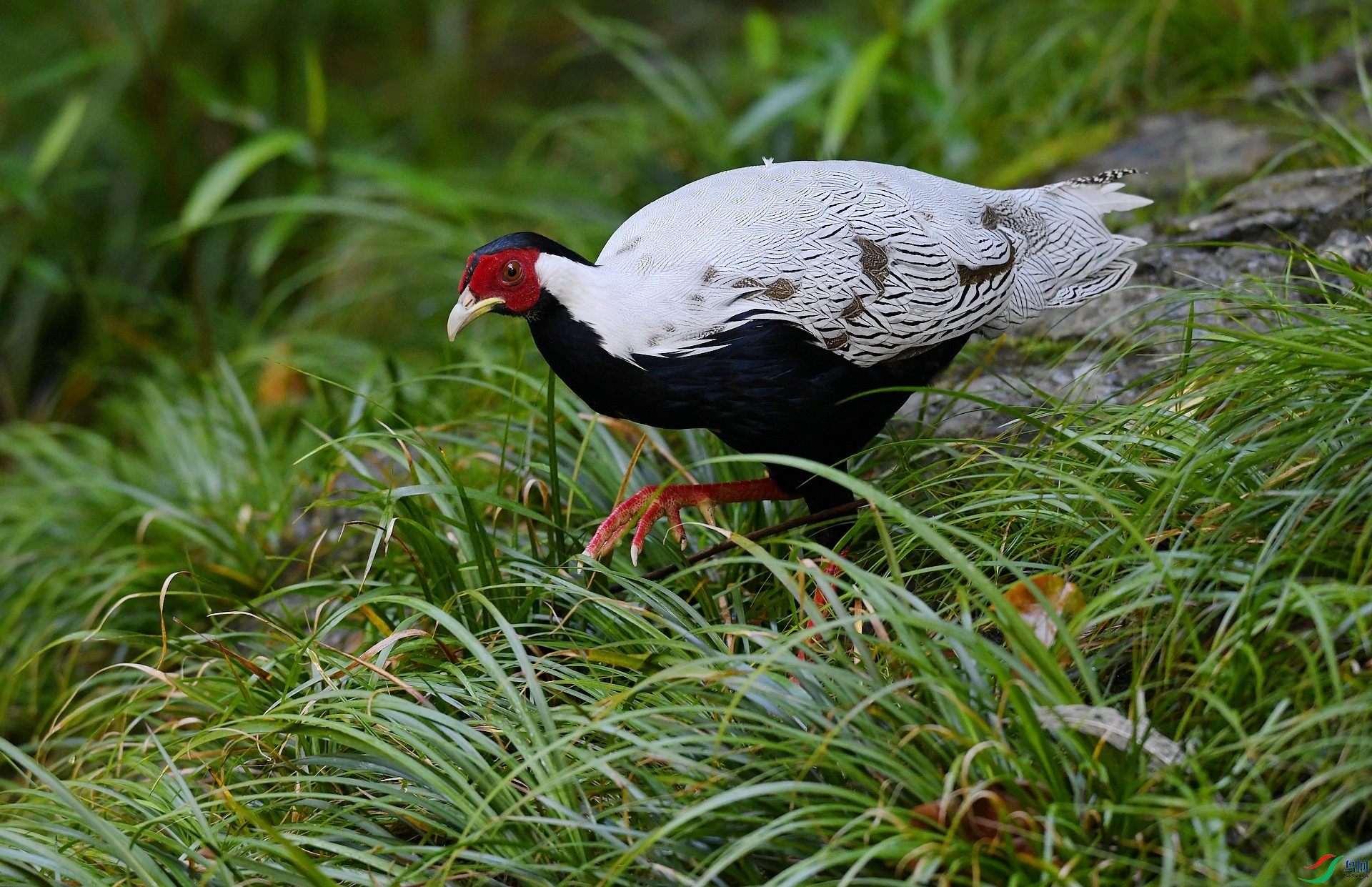 DSC_1104.jpg