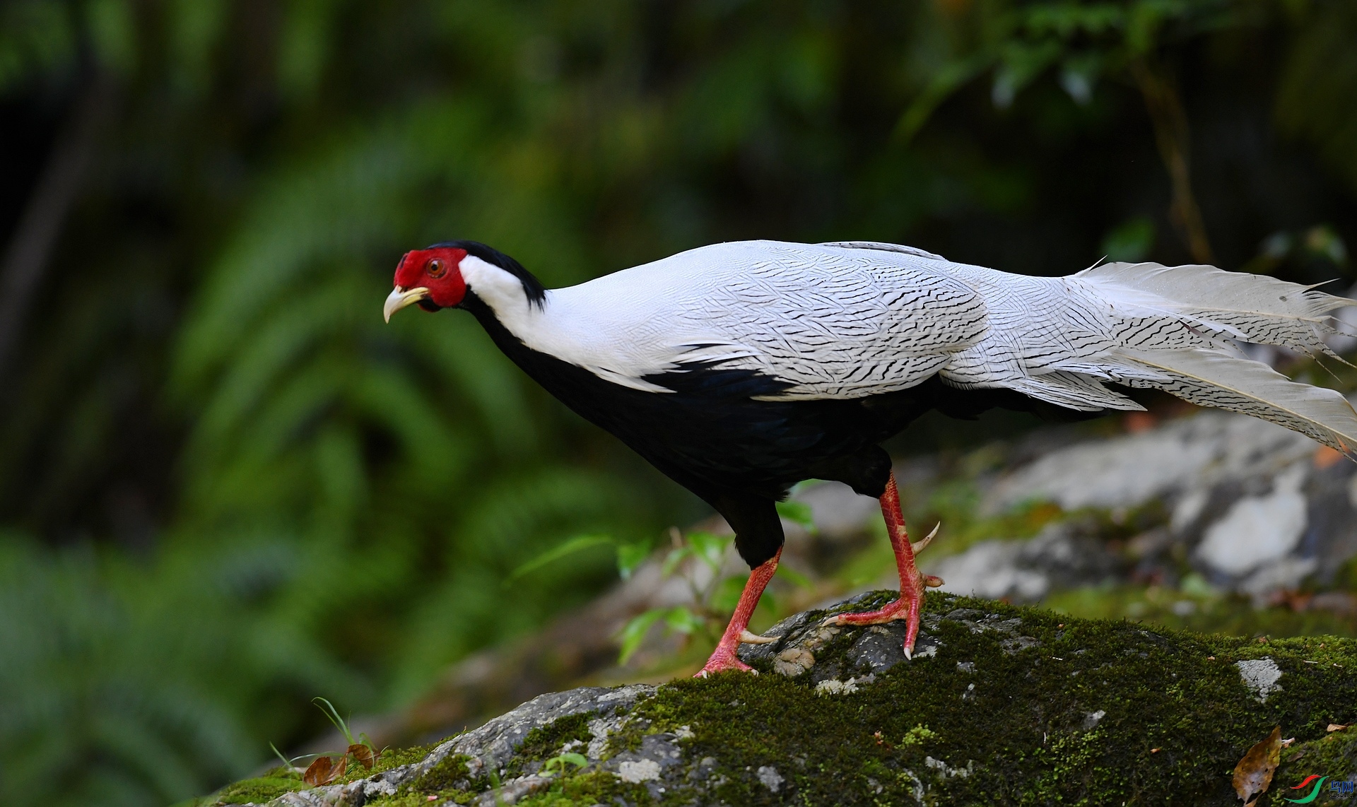 DSC_4507.jpg