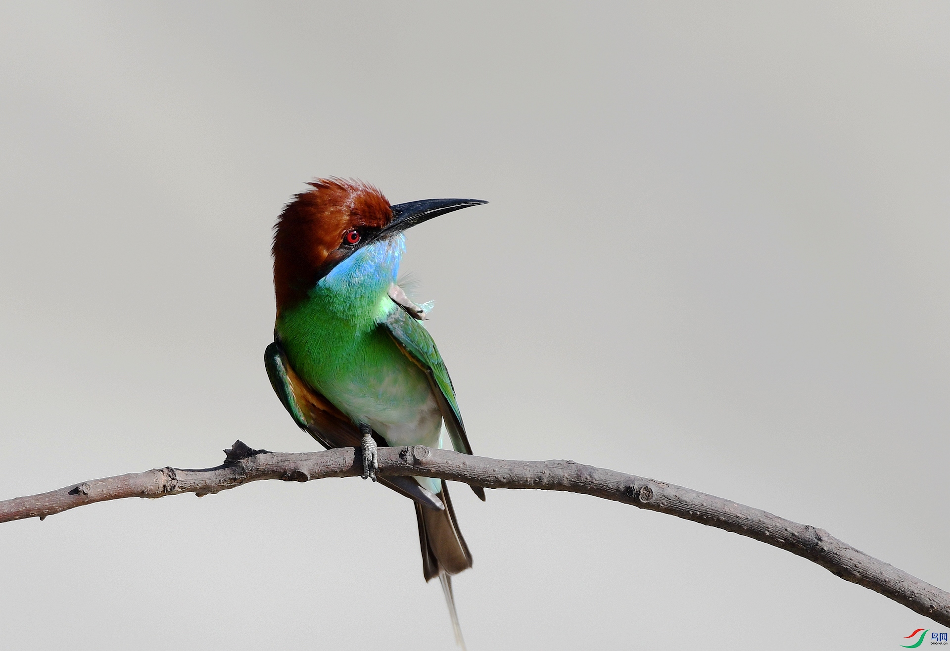 DSC_3498.jpg