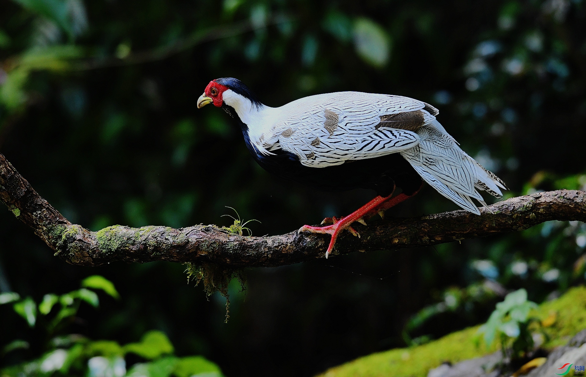 DSC_4517.jpg