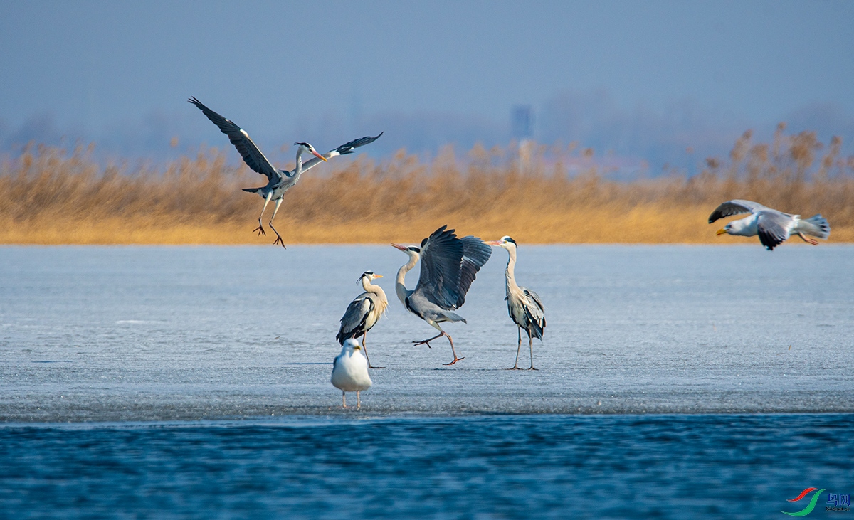 20210313 (140).jpg