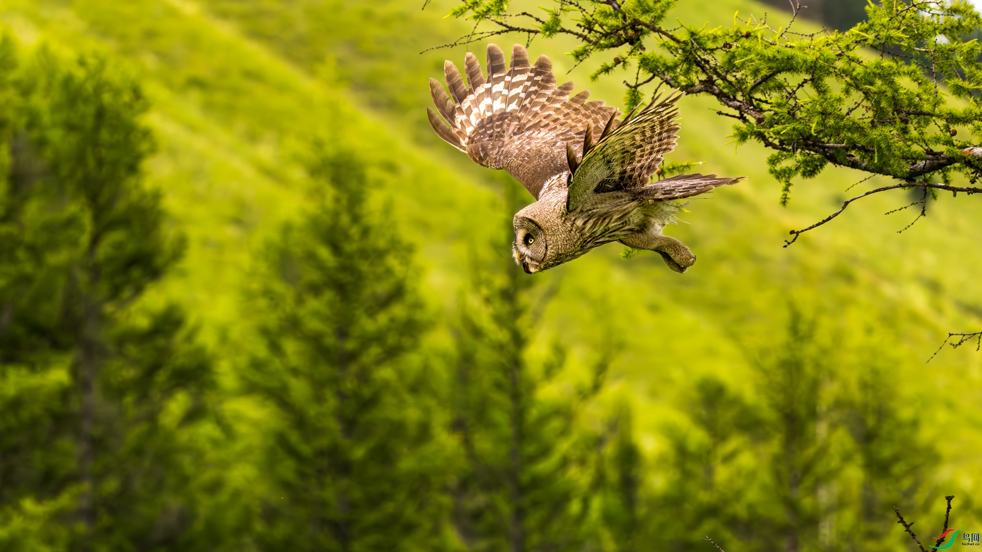1A3A2399-����ǿ-NR.jpg