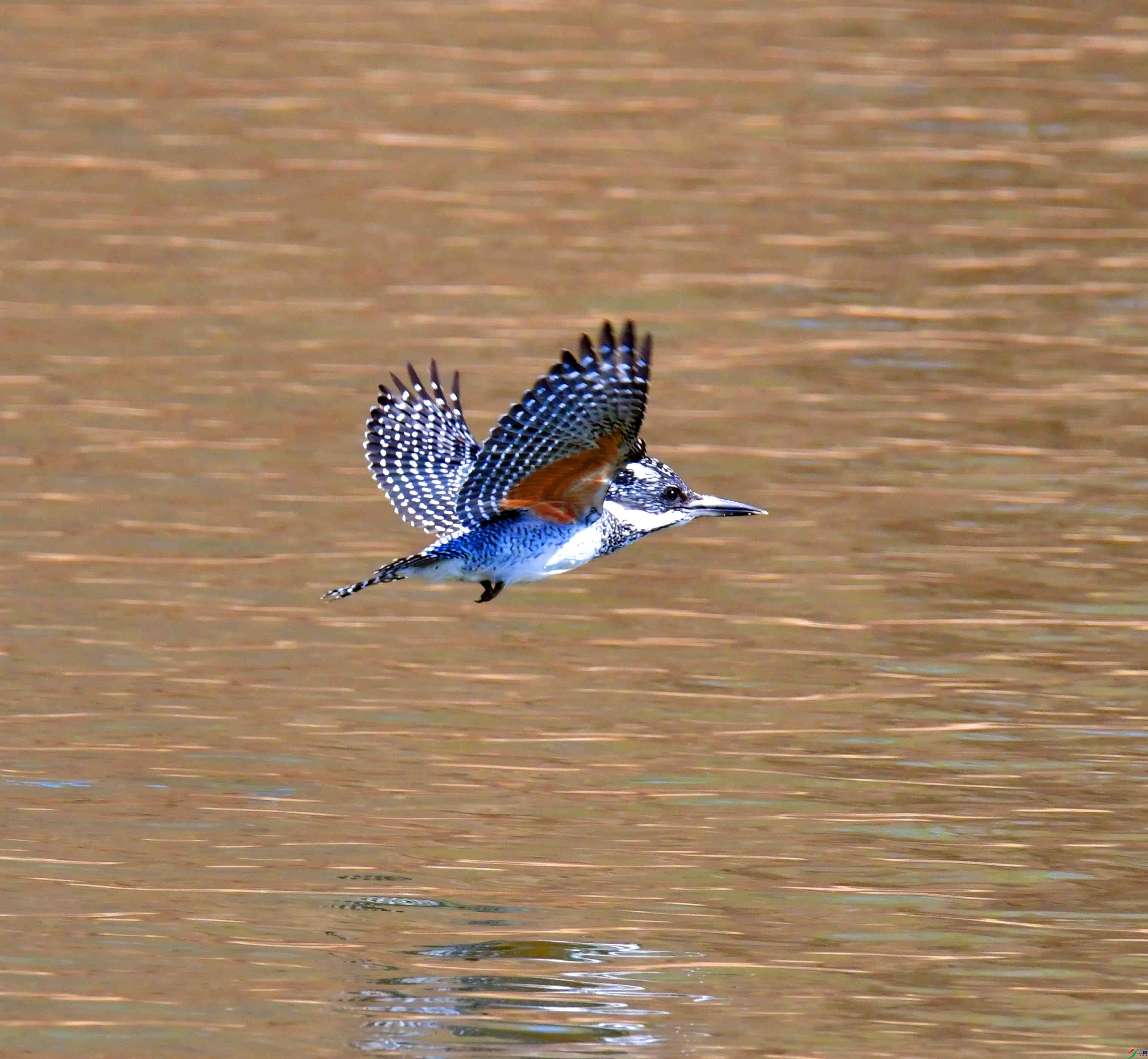DSC_0875.JPG