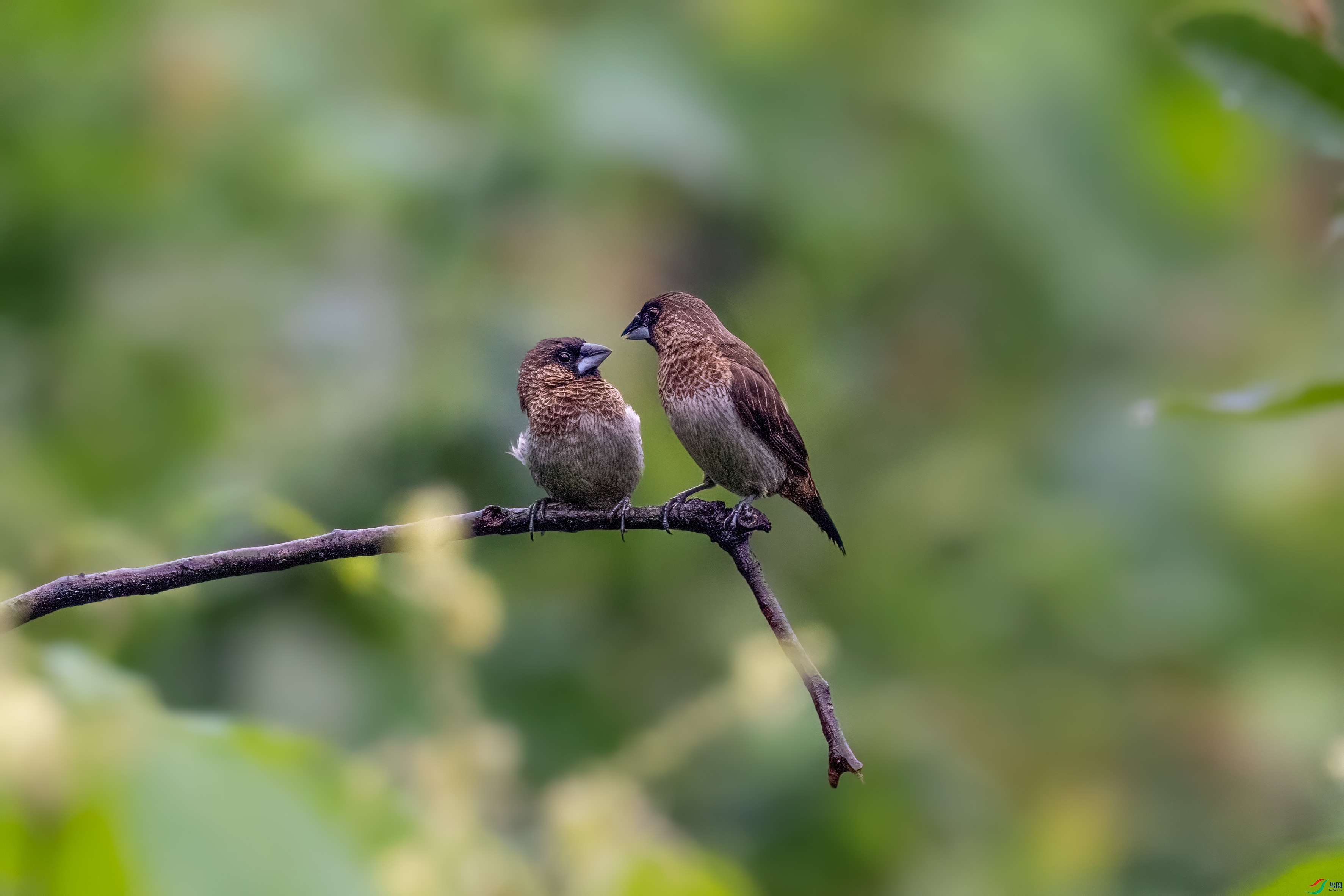 DSC_9069.jpg