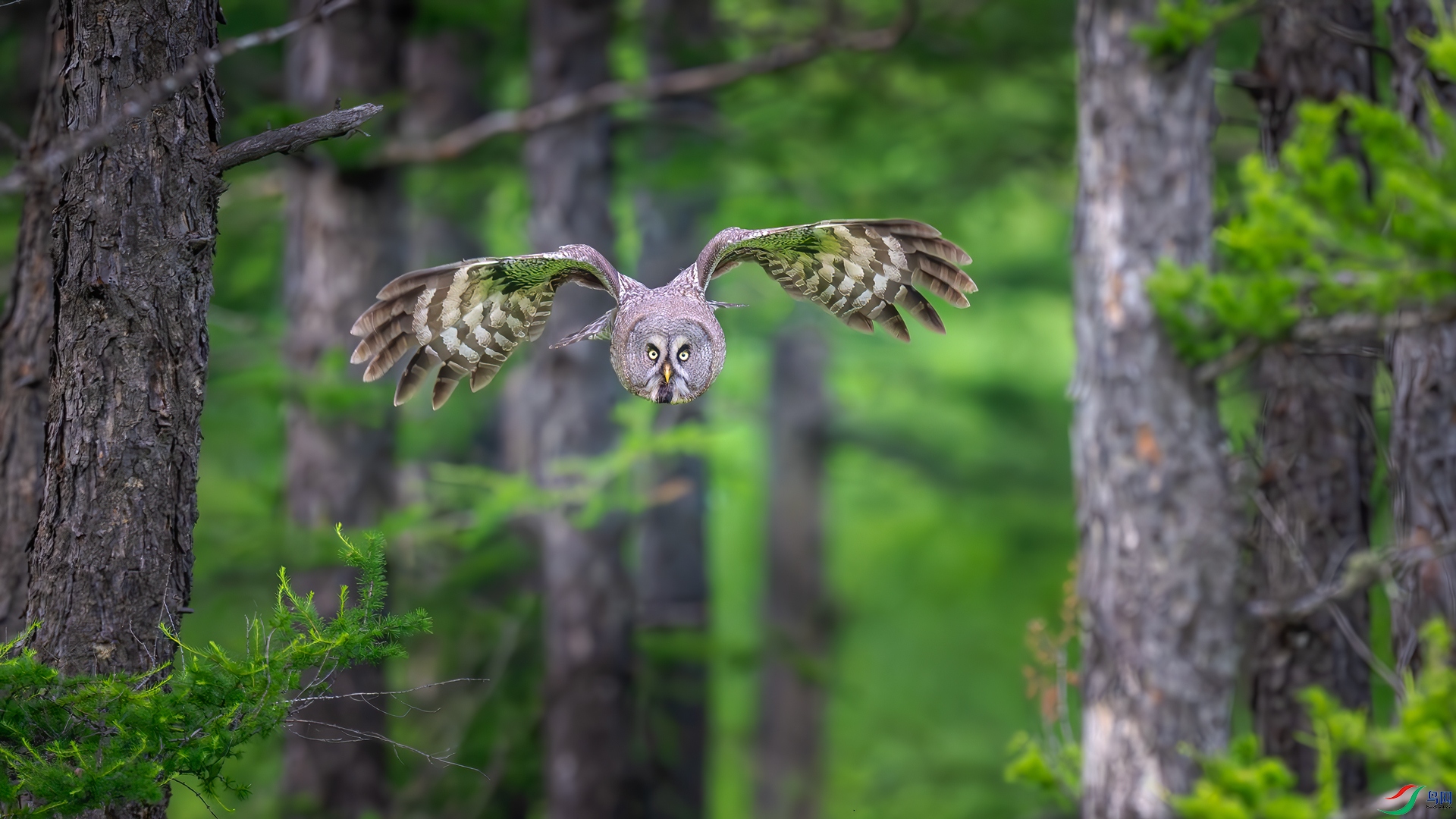 DSC_2691-����ǿ-NR-2.jpg