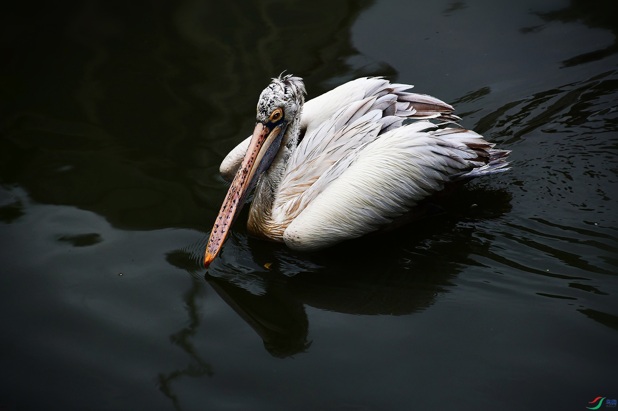 DSC_0877_.jpg