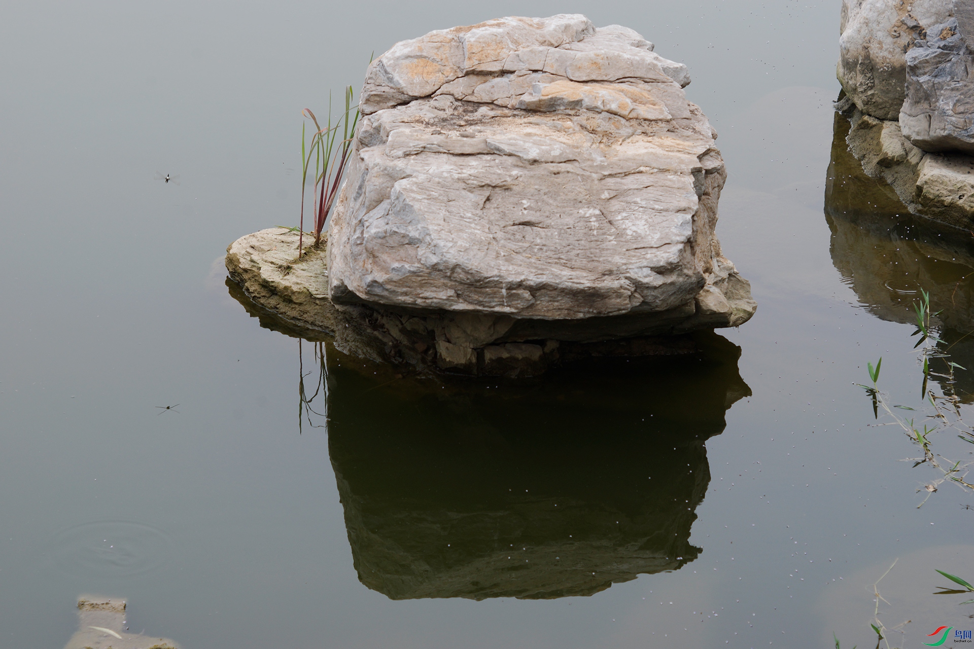 _DSC8183.jpg