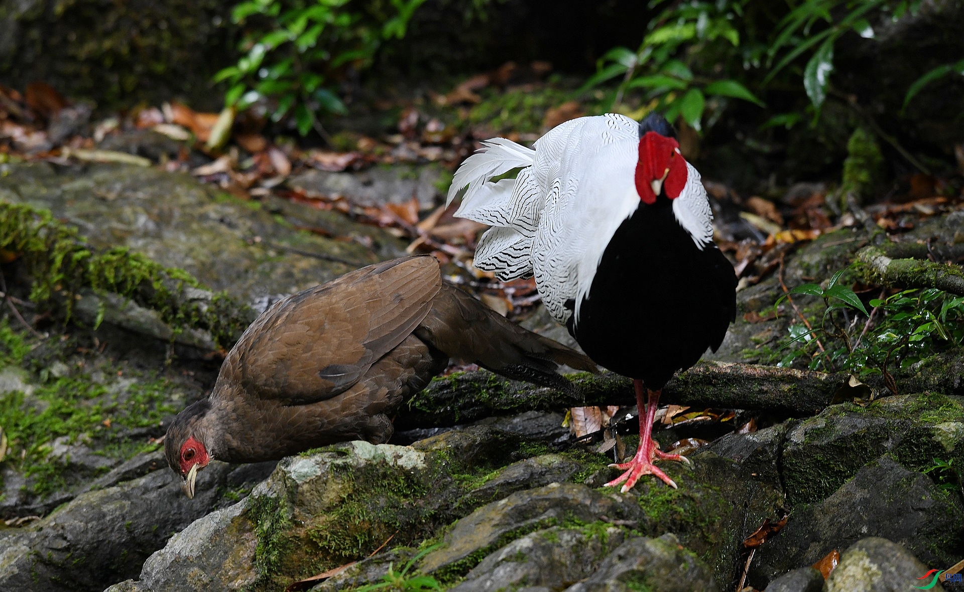 DSC_4813.jpg