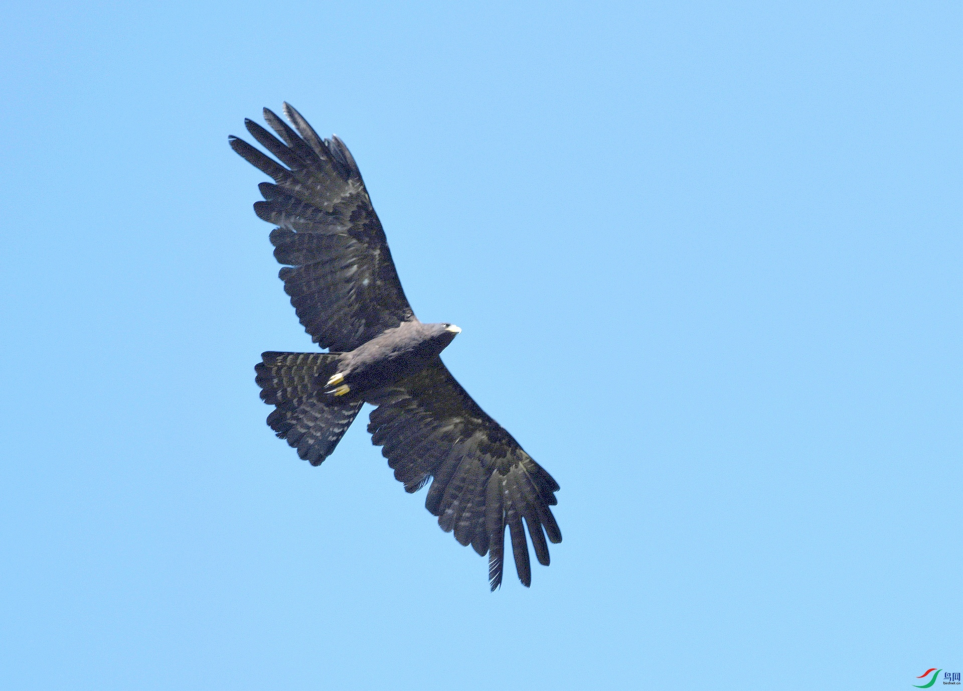 DSC_7922.jpg