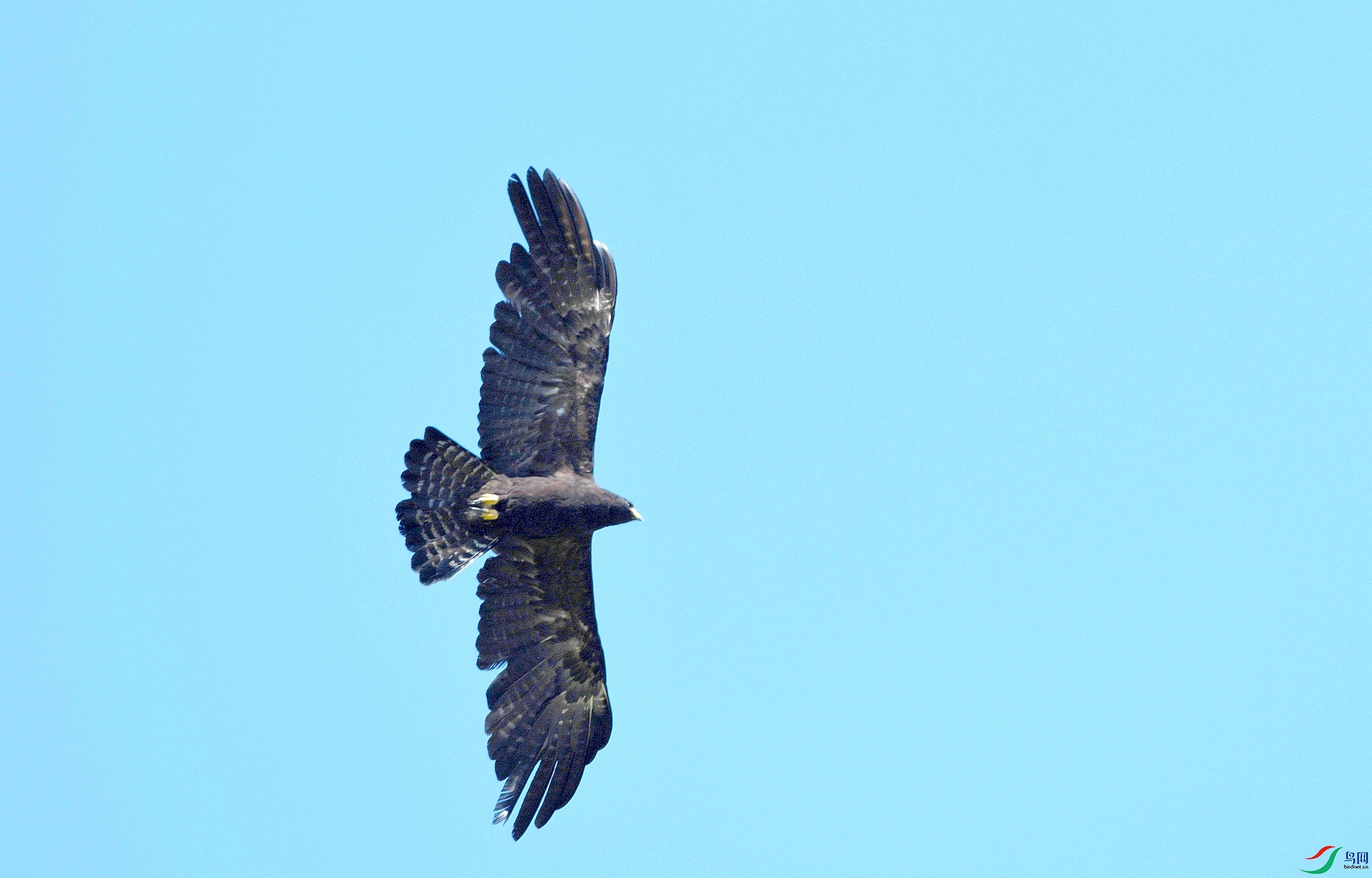 DSC_7924.jpg