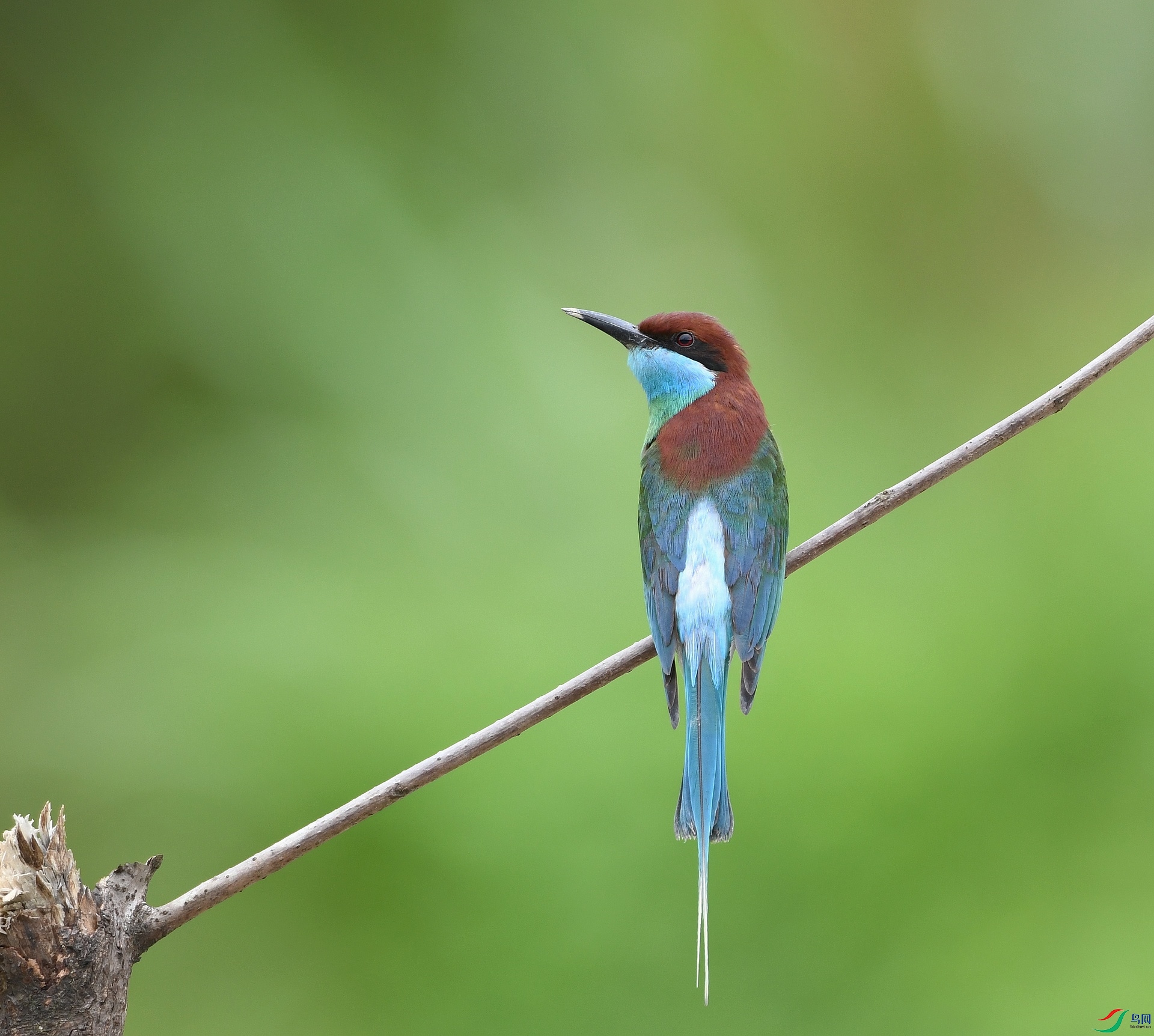 DSC_4557.jpg