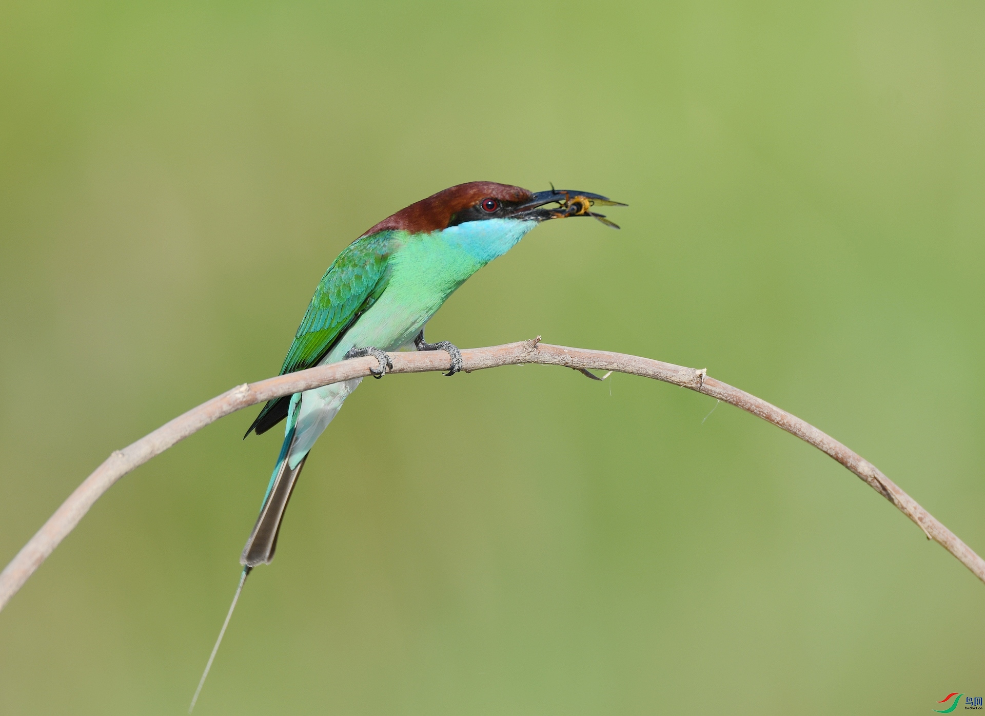 DSC_4385.jpg