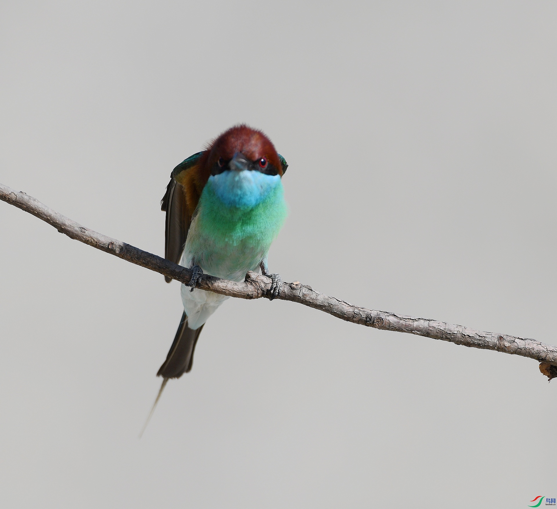 DSC_4798.jpg