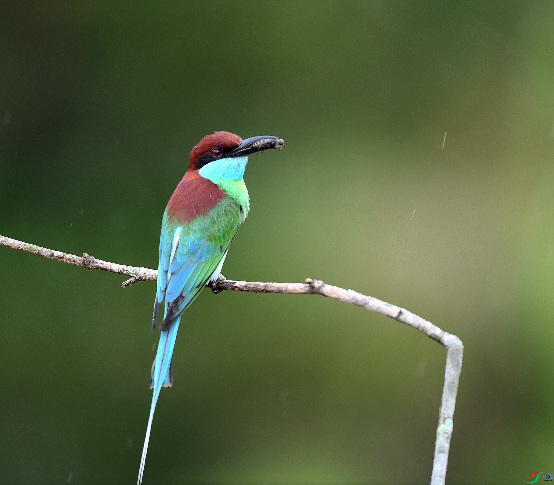 DSC_1546.jpg
