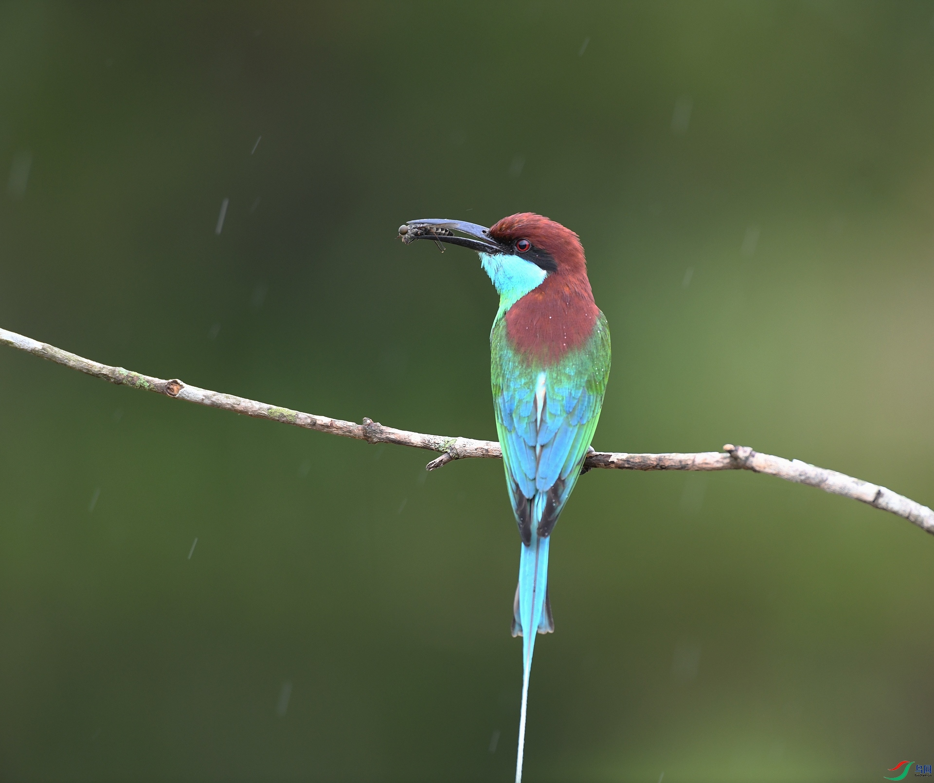 DSC_1554.jpg