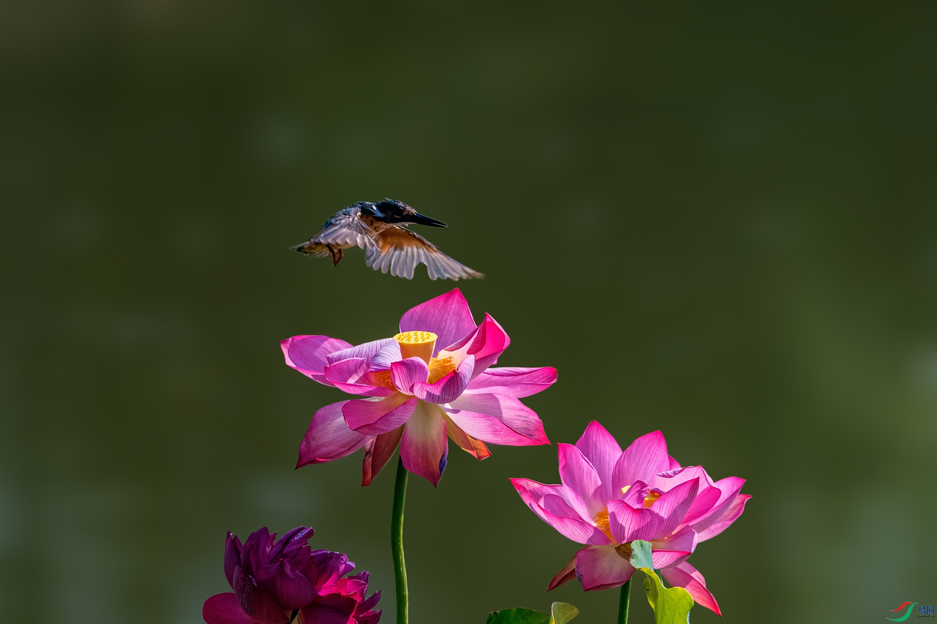 _AUU7397 ��ͨ����(25.7.29).jpg