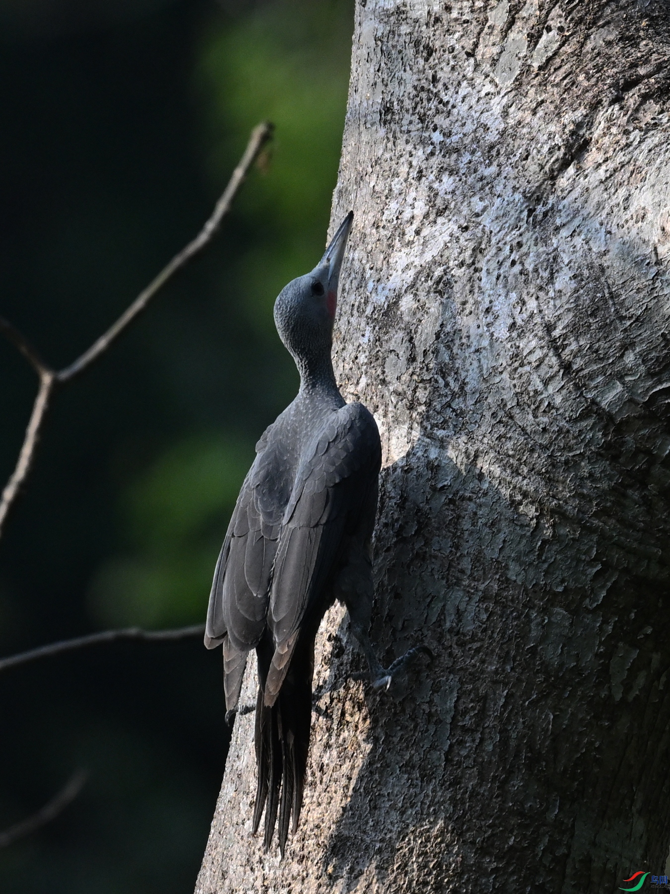 DSC_5395.JPG