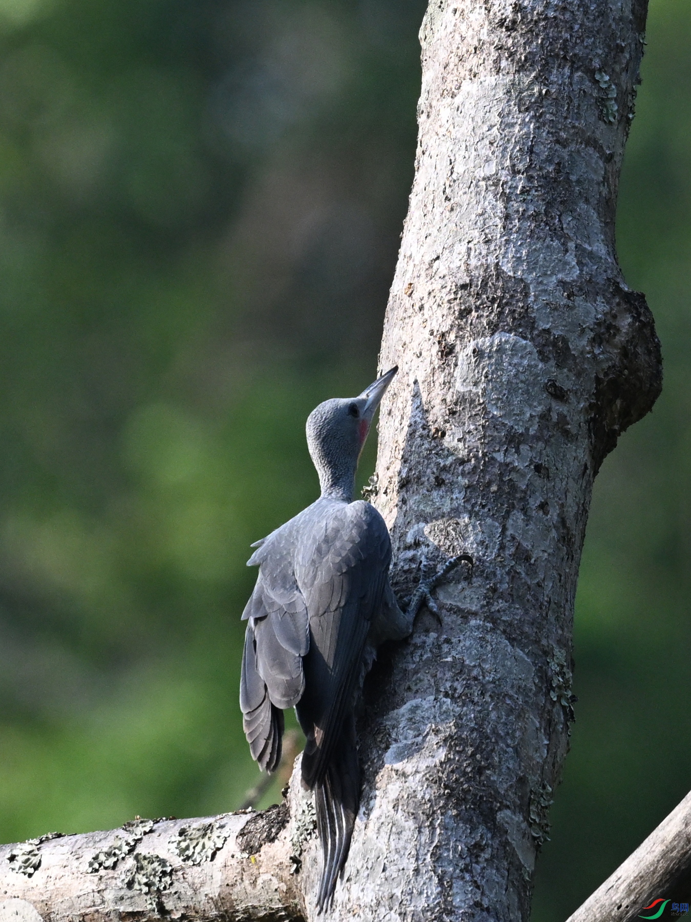 DSC_5414.JPG