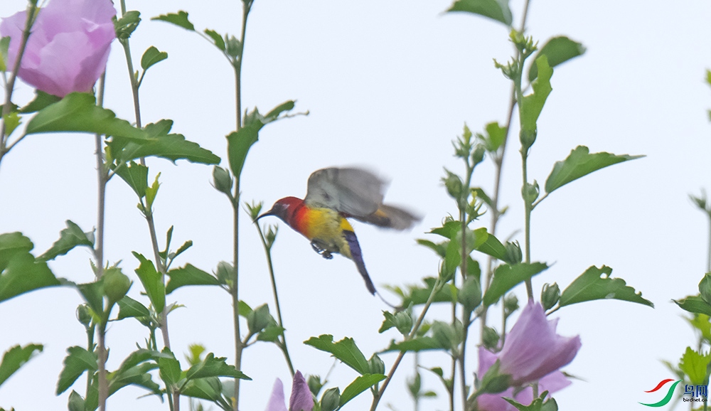 DSCF8768.1.jpg