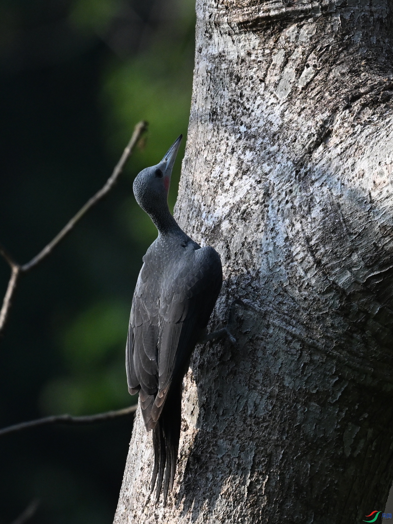 DSC_5396.JPG