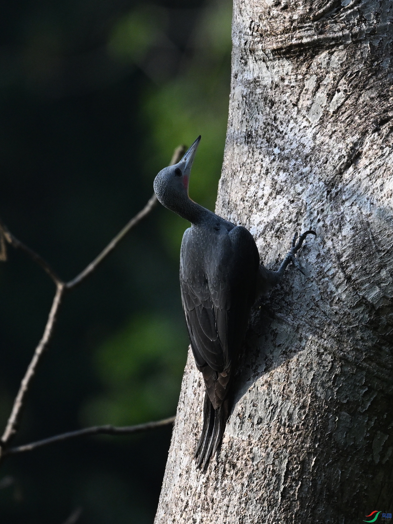 DSC_5398.JPG