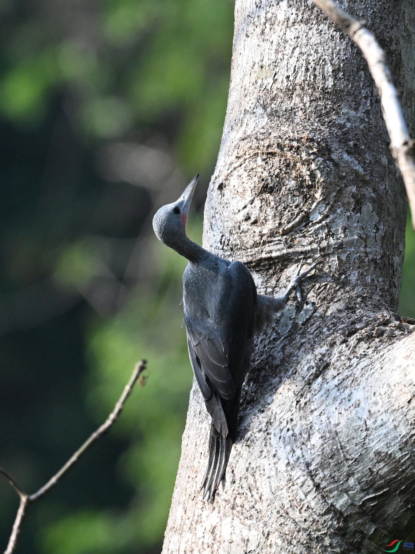DSC_5401.JPG