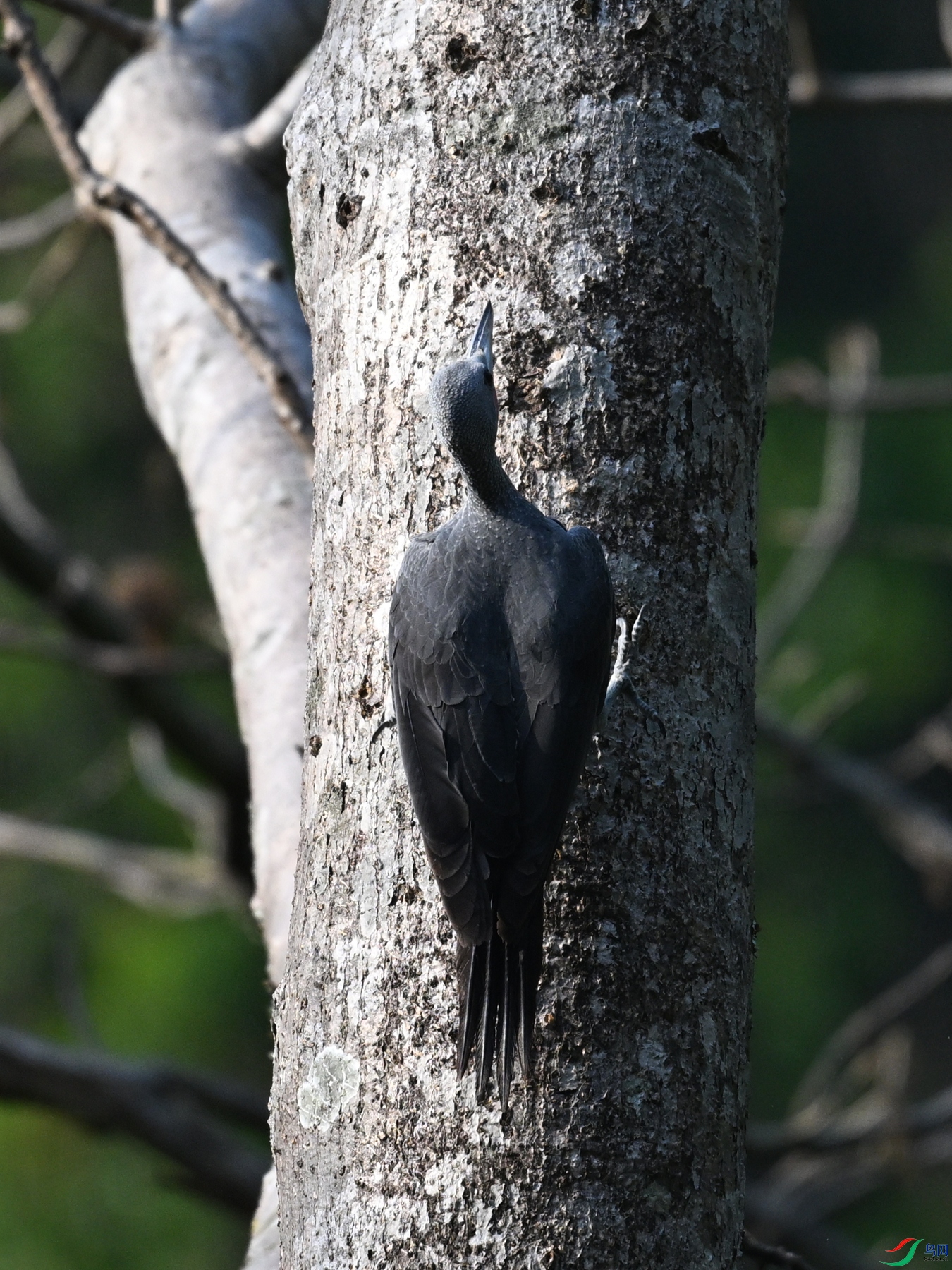 DSC_5405.JPG