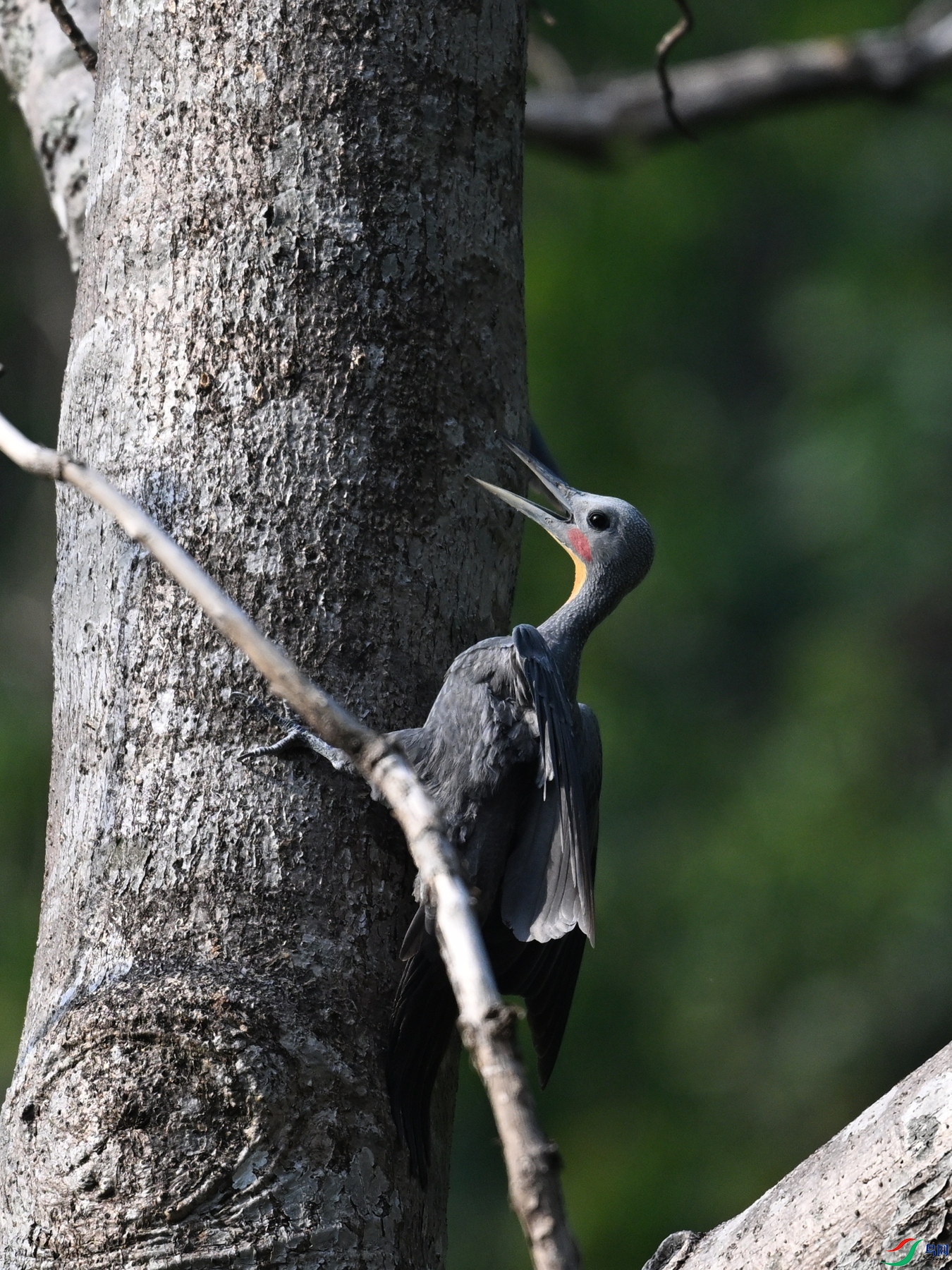 DSC_5429.JPG