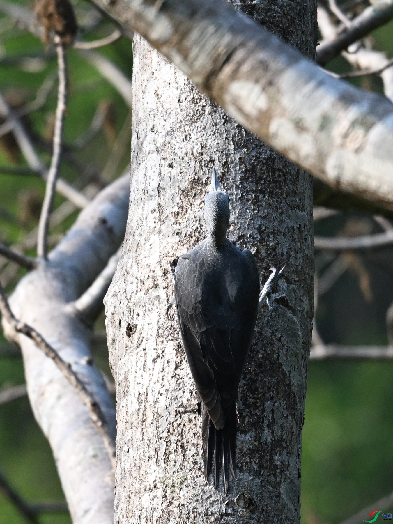 DSC_5407.JPG