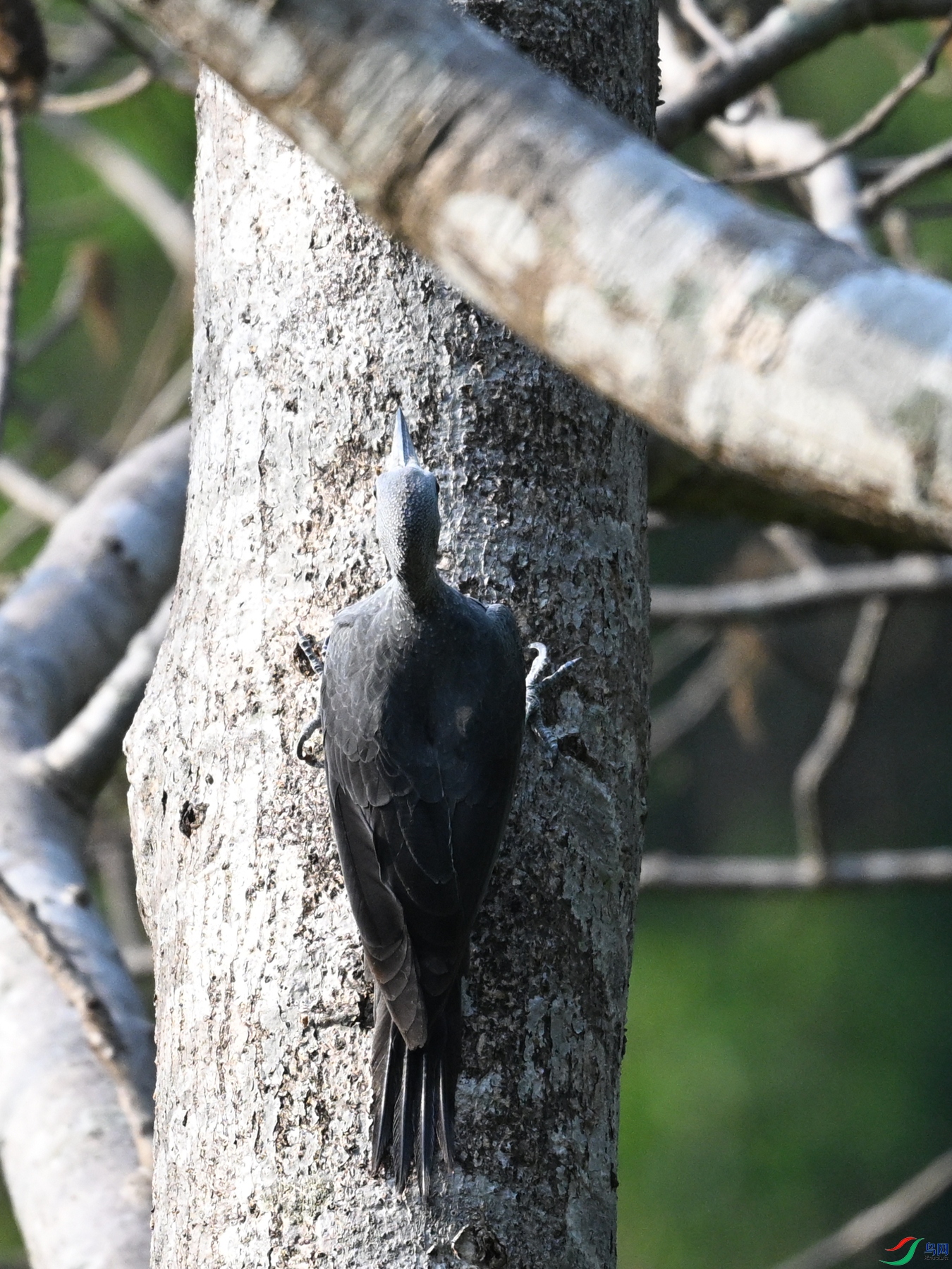 DSC_5409.JPG