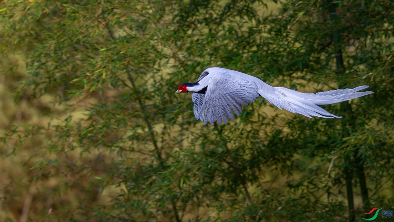 _FQ_3714-01.jpg