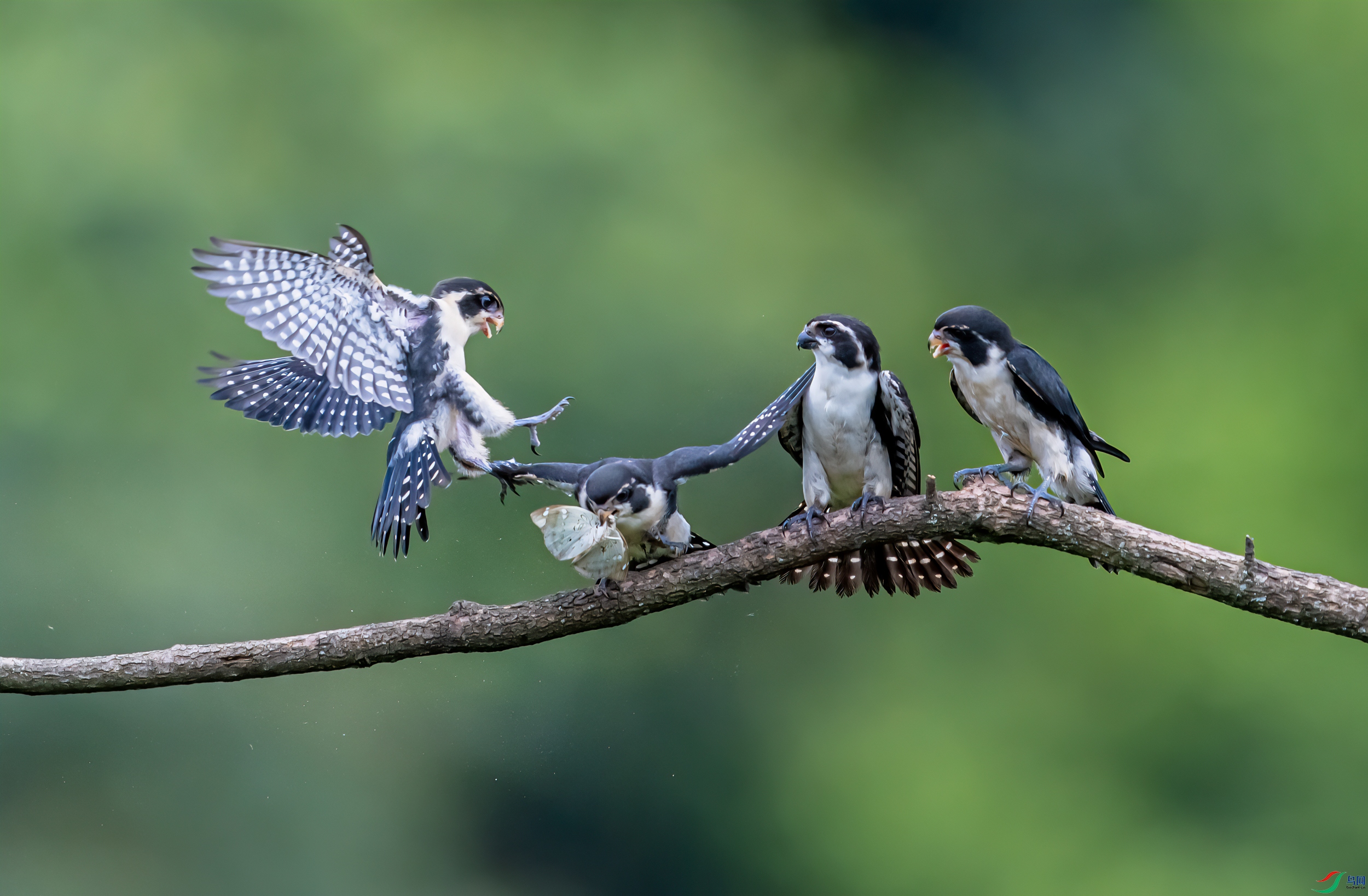 DSC_0728-1a.jpg