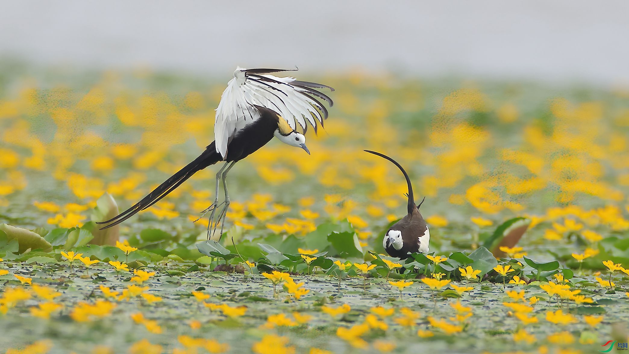 4R6A7714-SharpenAI-Motion.jpg