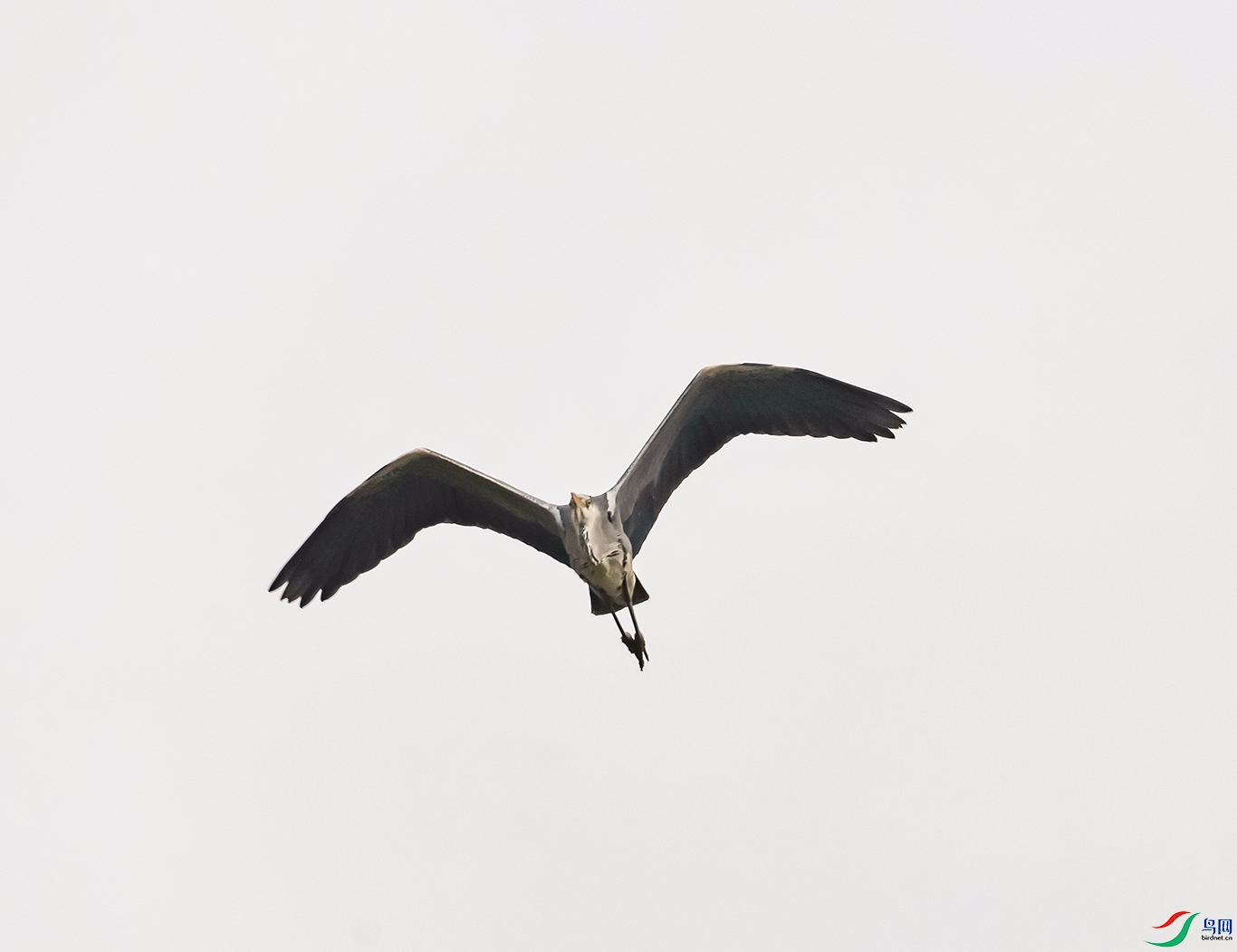 0J2A0679-0.jpg