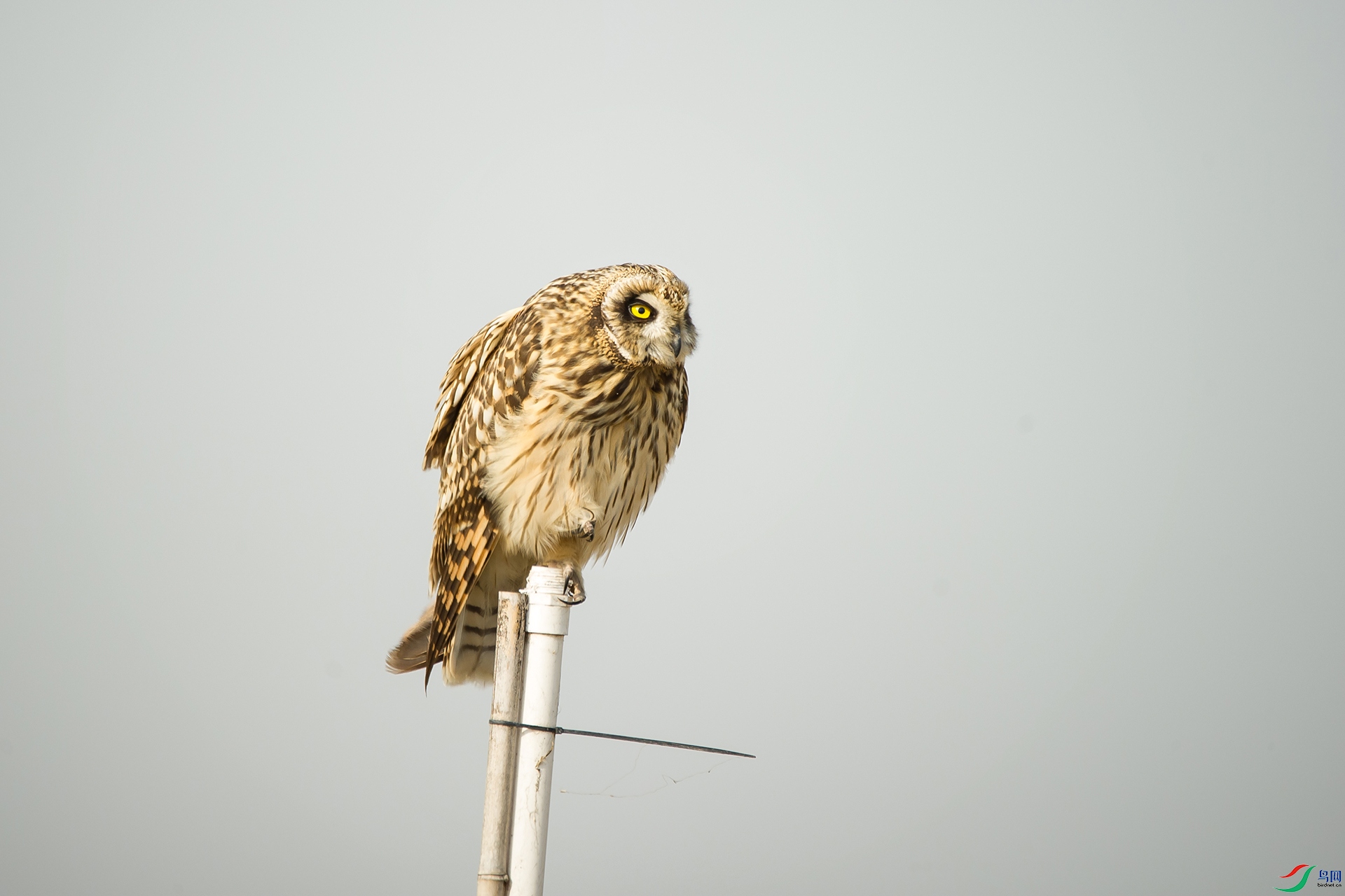 DSC_0359-20201207�ü�.jpg
