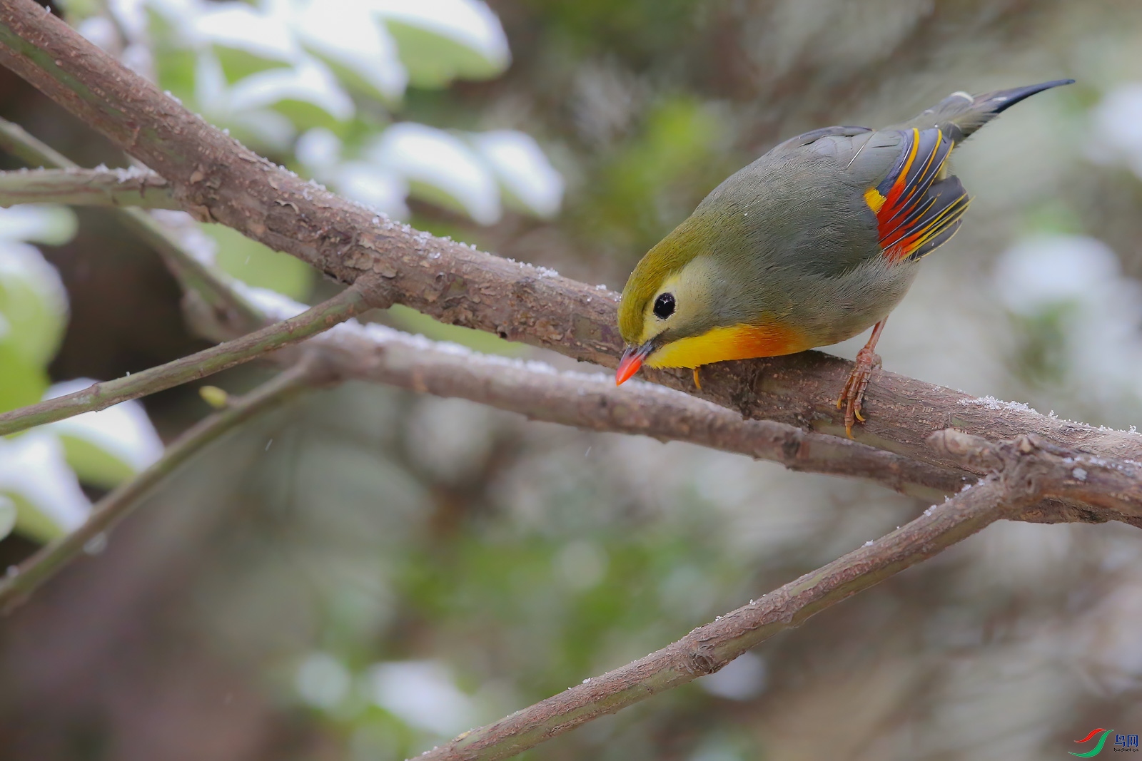 AQ4P8432-1.jpg