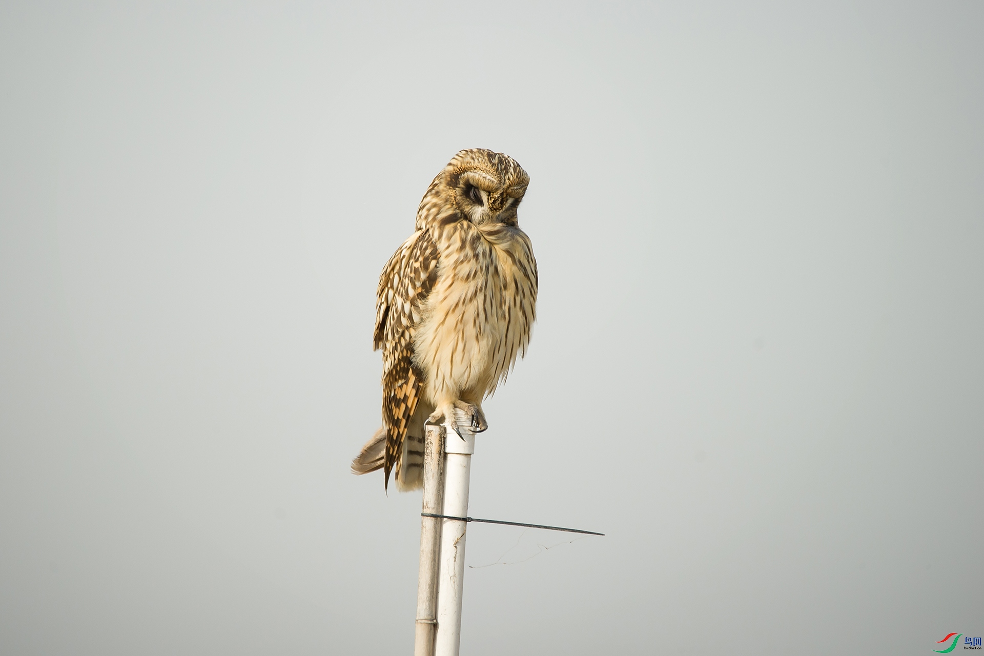 DSC_0402-20201207�ü�.jpg