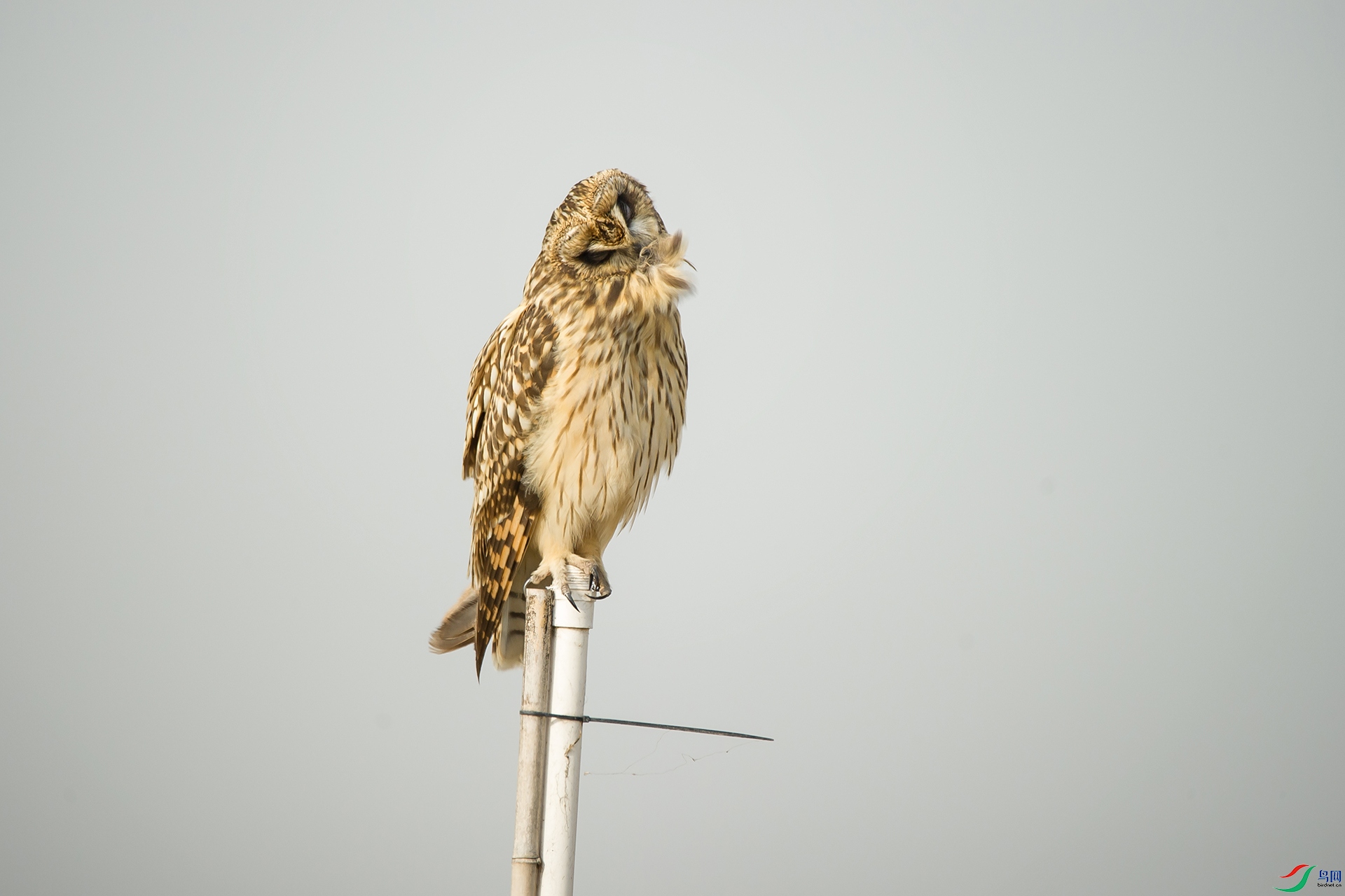 DSC_0413-20201207�ü�.jpg