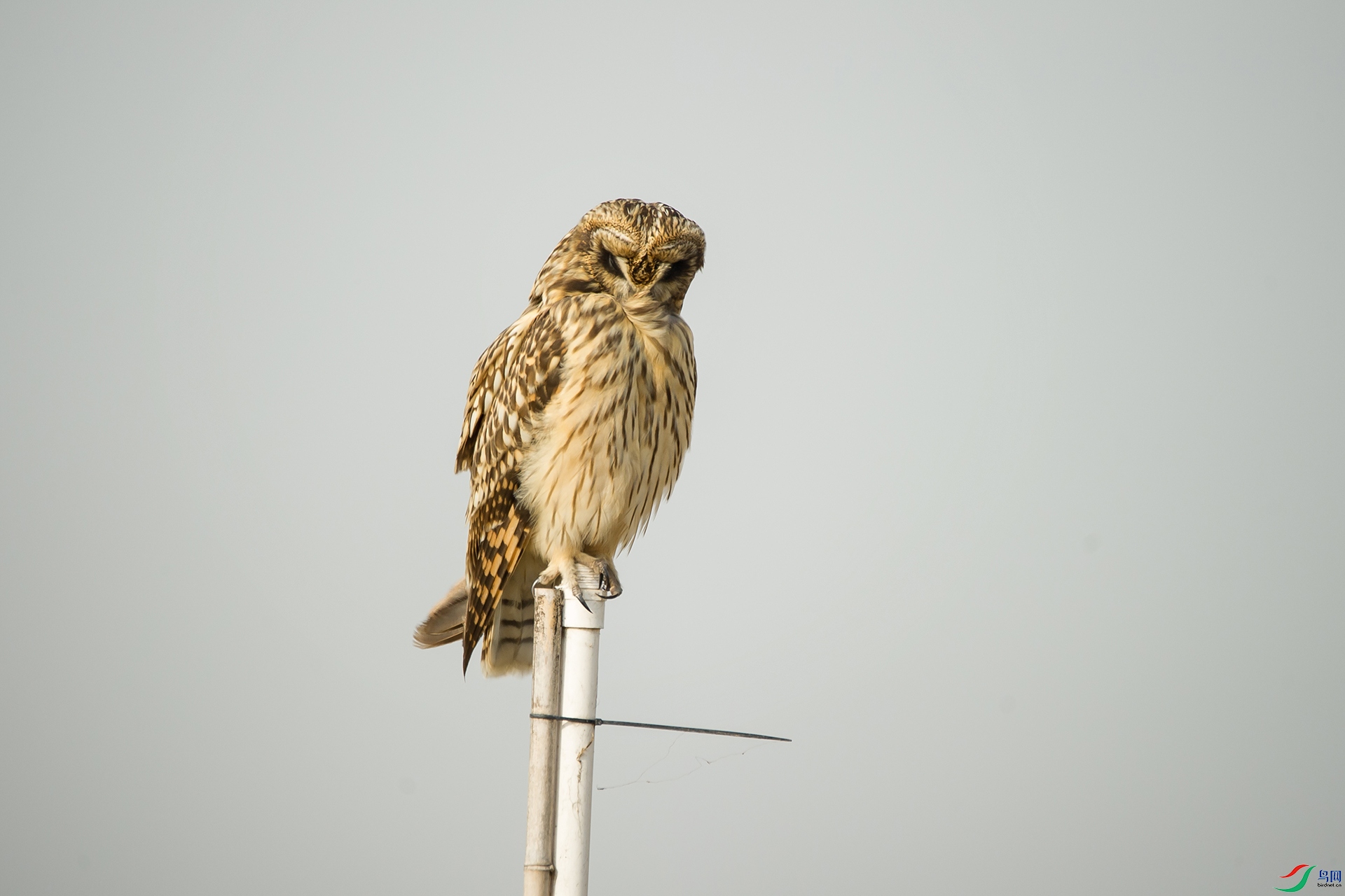 DSC_0432-20201207�ü�.jpg