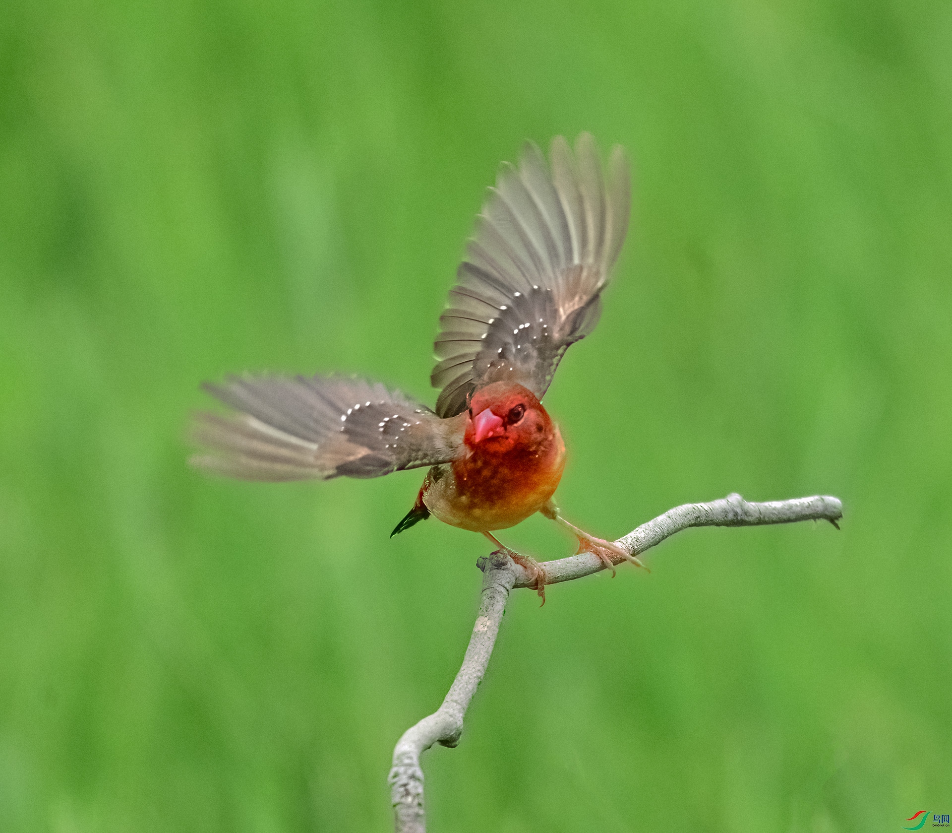DSC_7603.jpg111.jpg