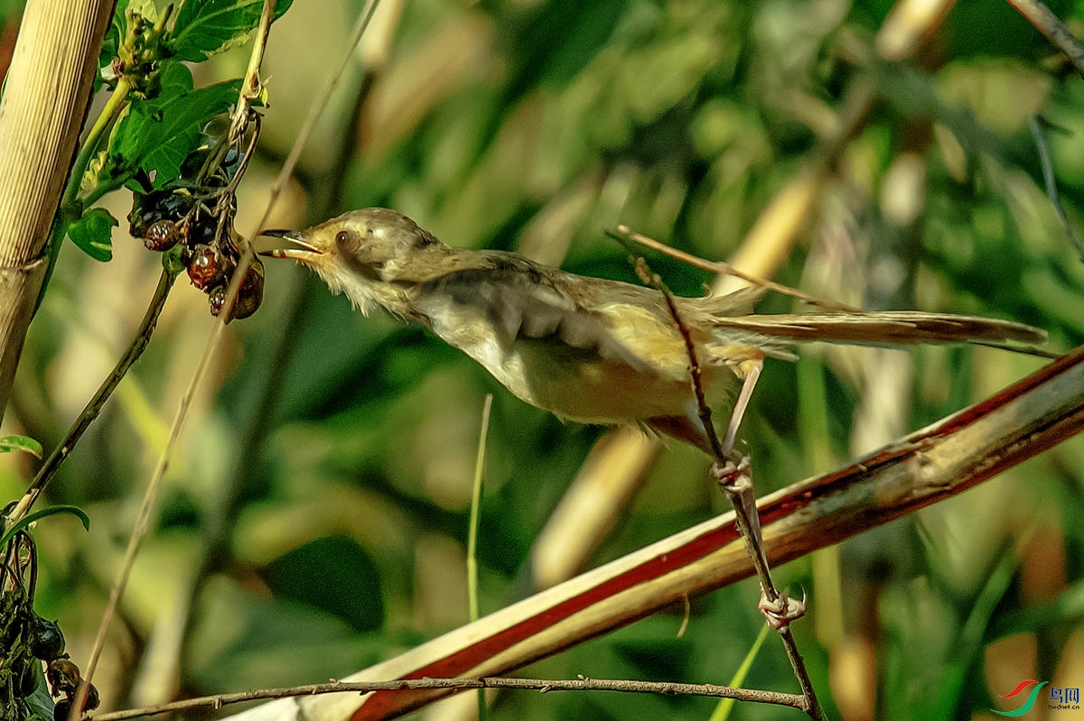 DSC_6843.jpg
