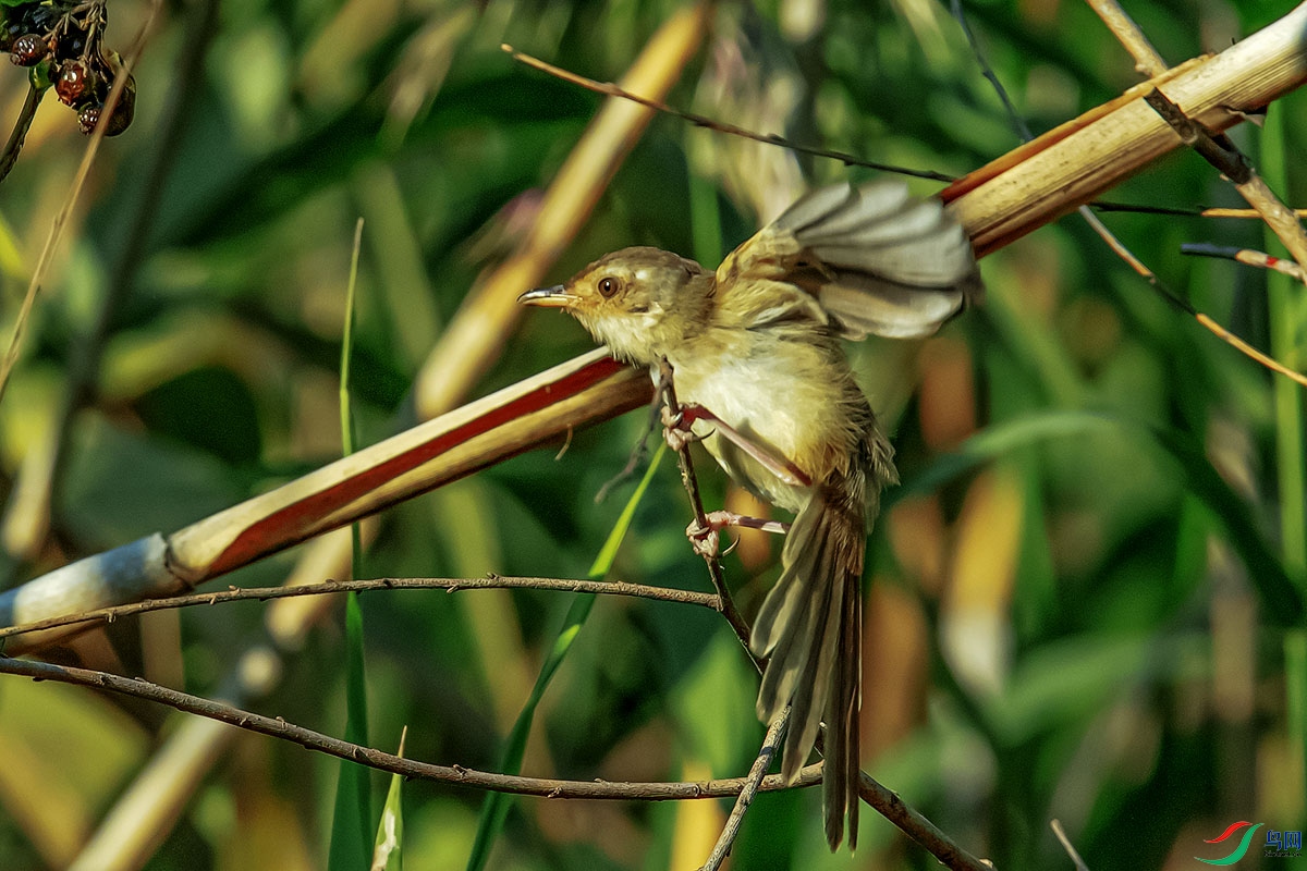 DSC_6846.jpg