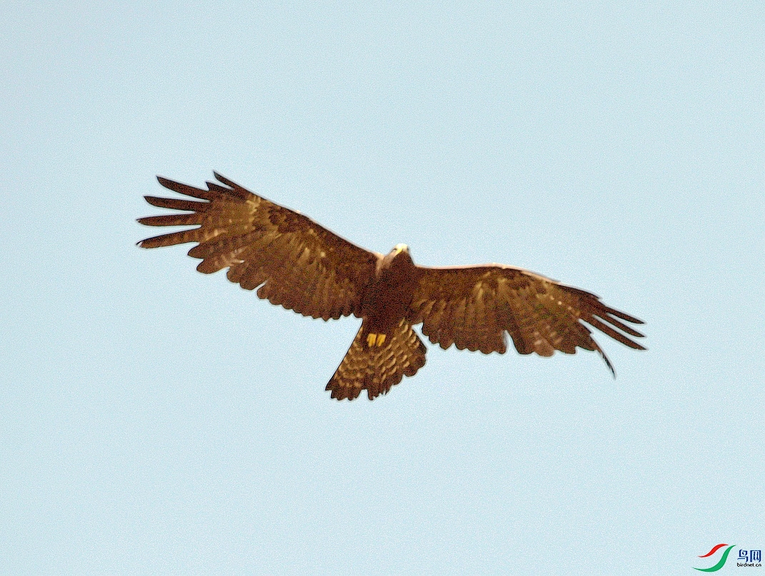DSC_7942.jpg