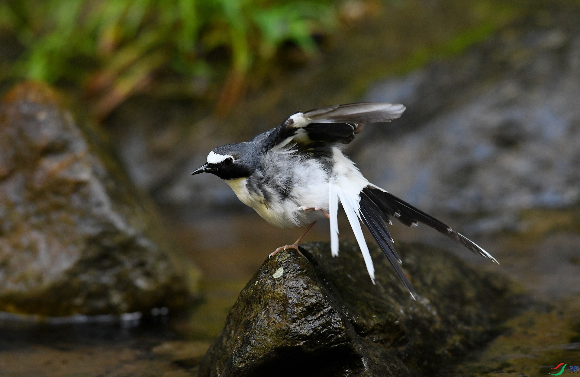 DSC_4997.jpg