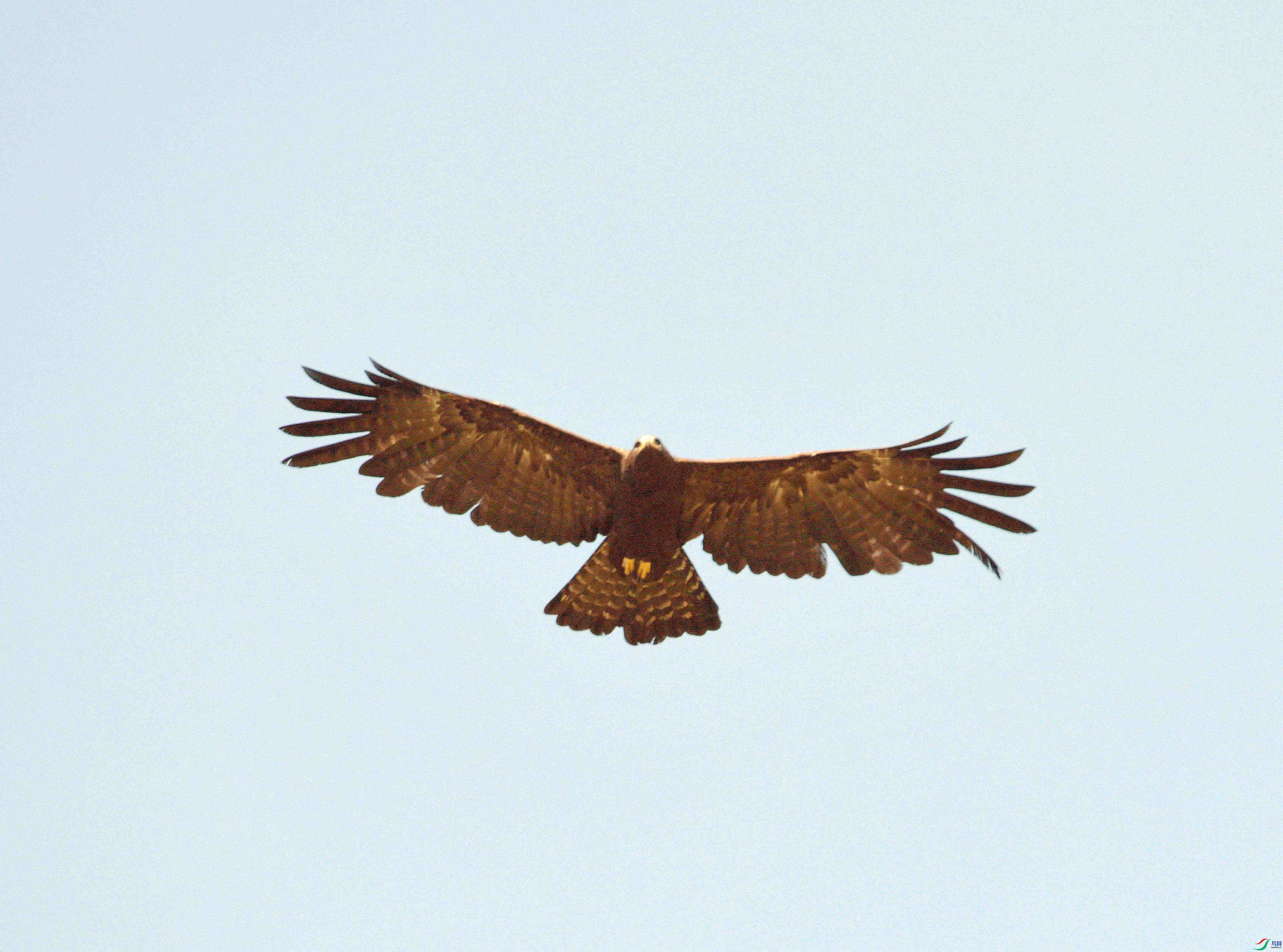 DSC_7940.jpg