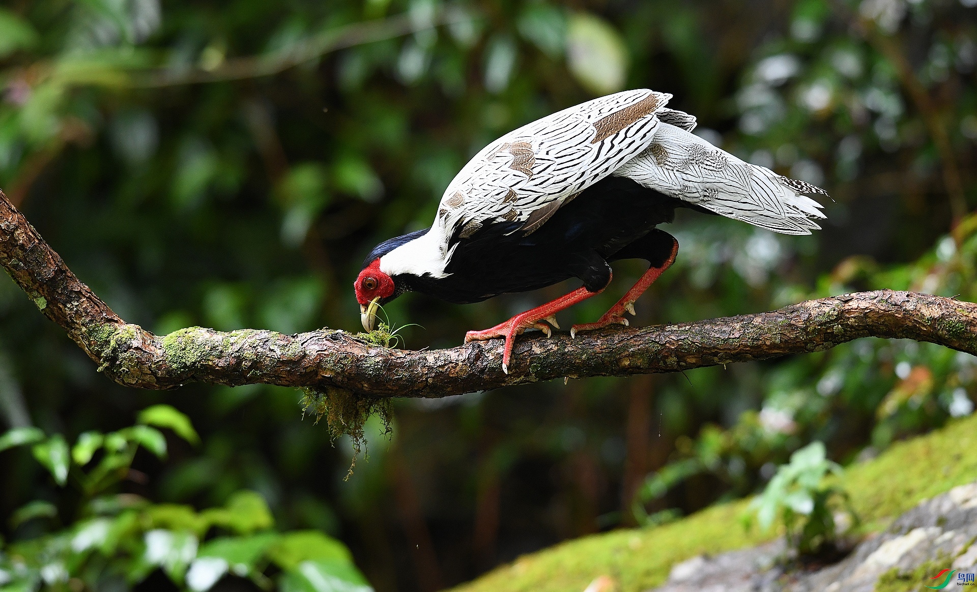 DSC_4652.jpg