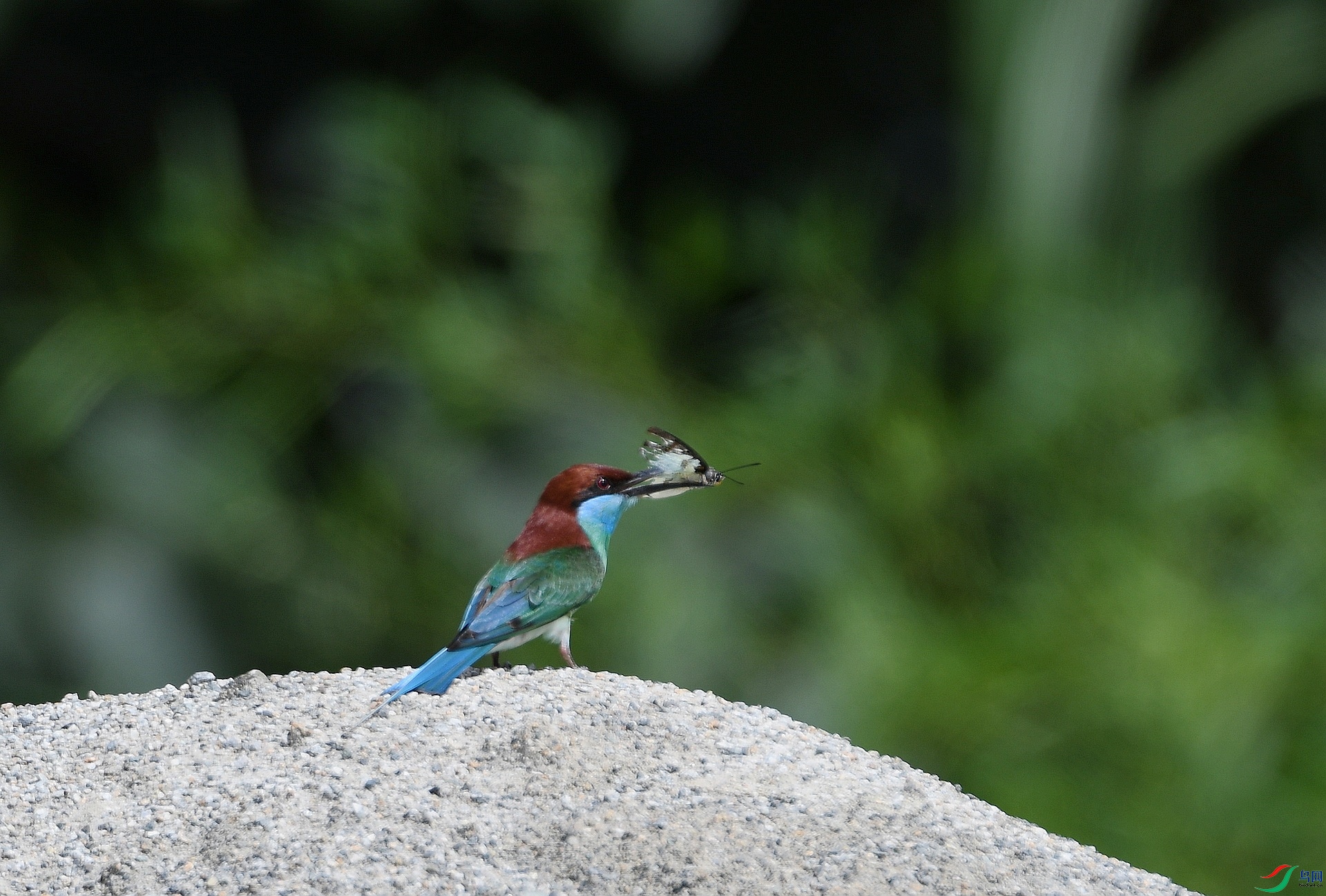 DSC_4309.jpg